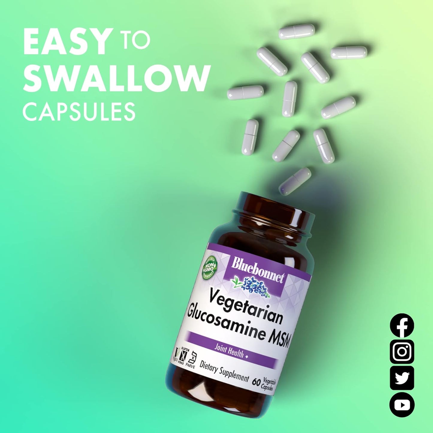 BlueBonnet Vegetarian Glucosamine Plus MSM Supplement - 120 Count Bottle