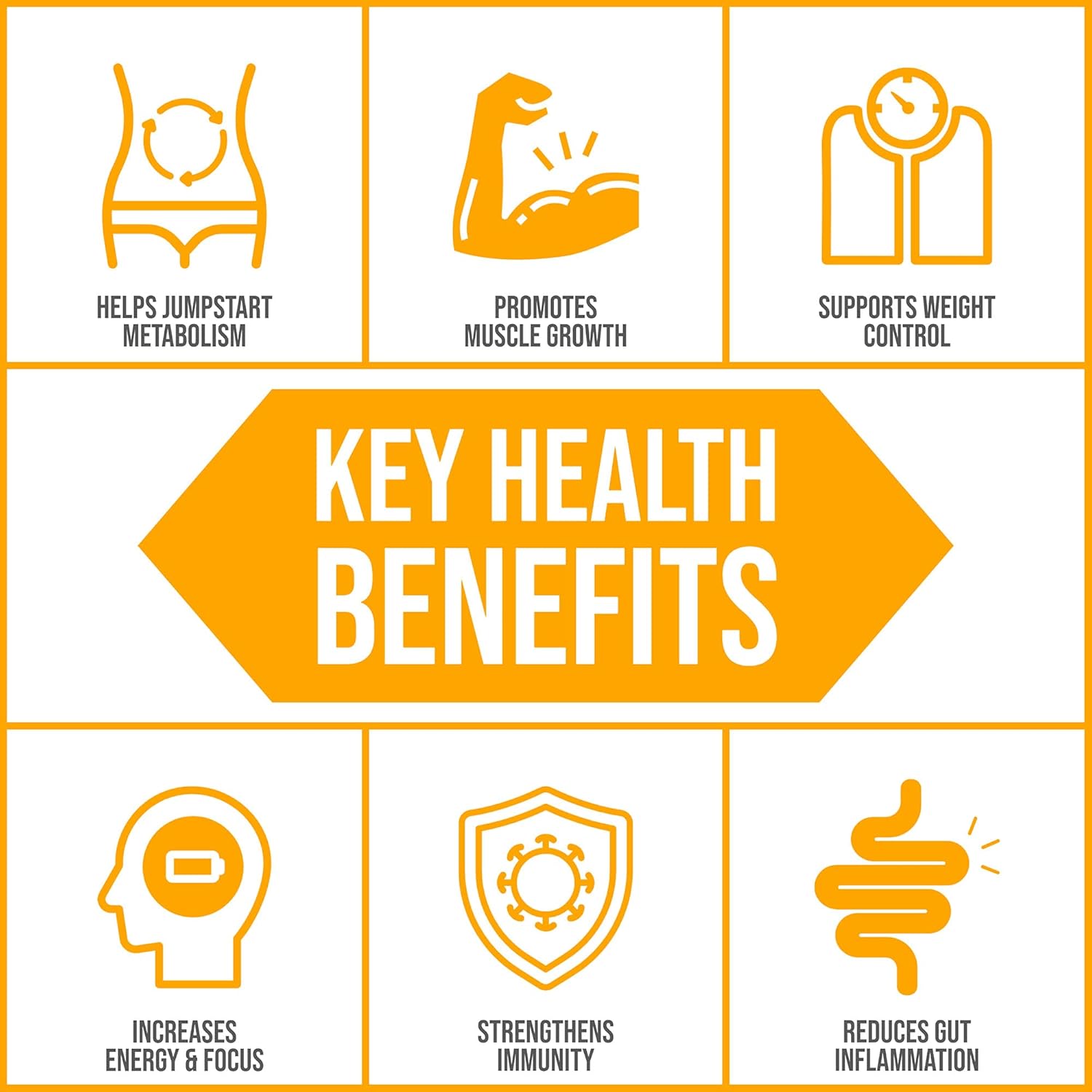 Body Ecology Fermented Probiotic Protein Shake Powder - Non-GMO, Gluten Free, Soy Free, No Sugar Added - 15g Protein - 18.52 OZ