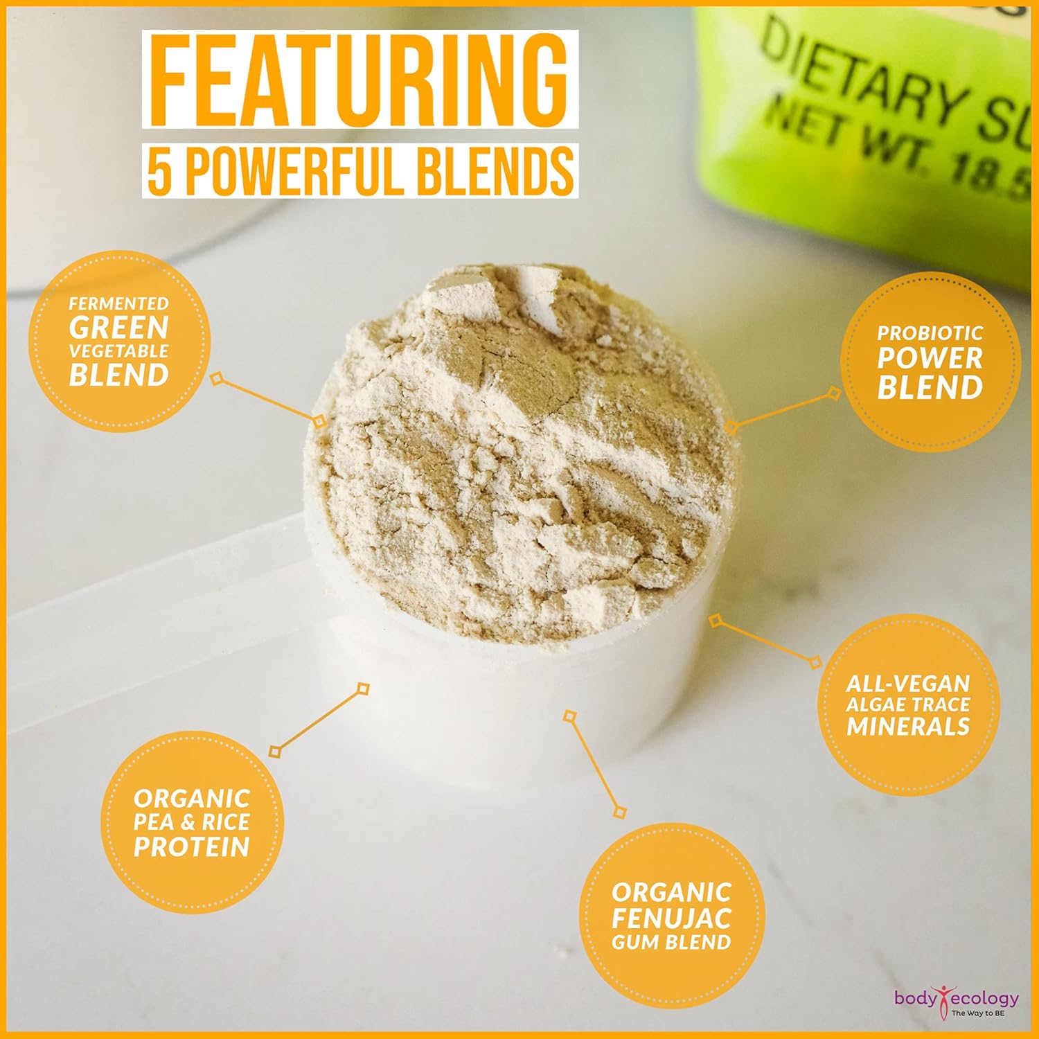 Body Ecology Fermented Probiotic Protein Shake Powder - Non-GMO, Gluten Free, Soy Free, No Sugar Added - 15g Protein - 18.52 OZ