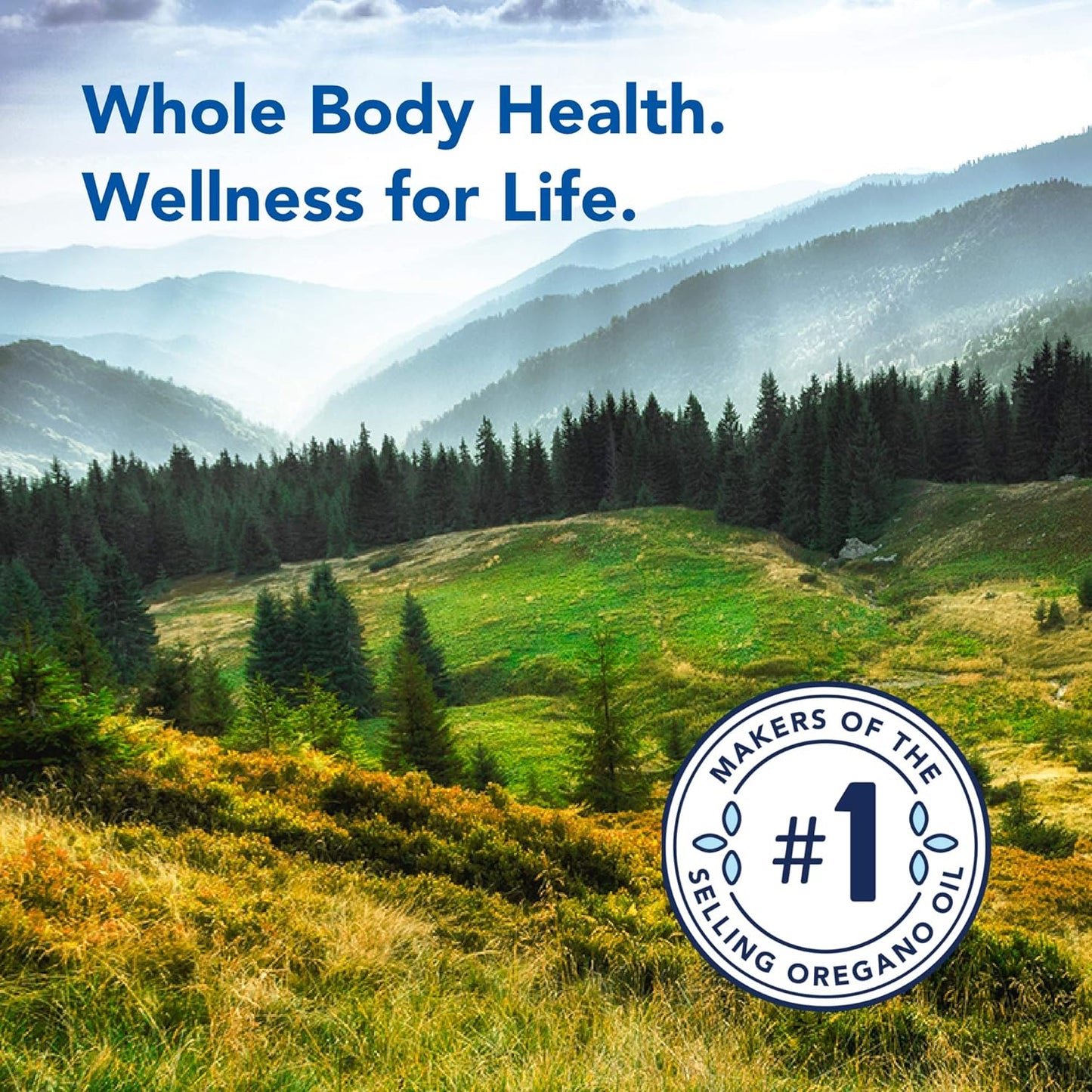 BoneActiv Capsules - Bone & Joint Support with MCHA, Sage, Rosemary, and Oregano Oil - Non-GMO - 120 Capsules