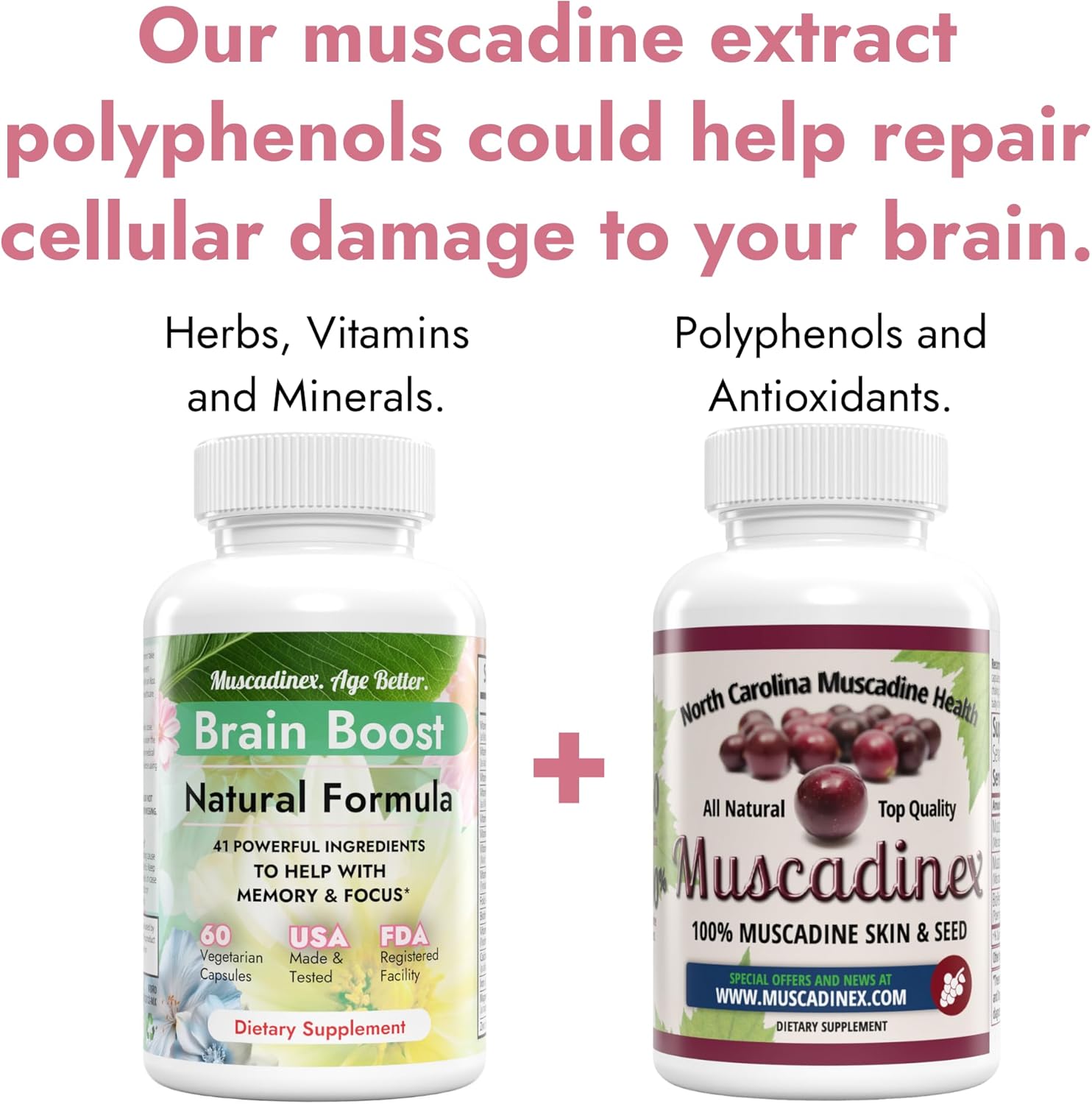 Boost Your Brain Health with MUSCADINEX Upgrade - Unlock the Benefits of Resveratrol, Ellagic Acid, and Quercetin from American Muscadines! Limited Time Offer!