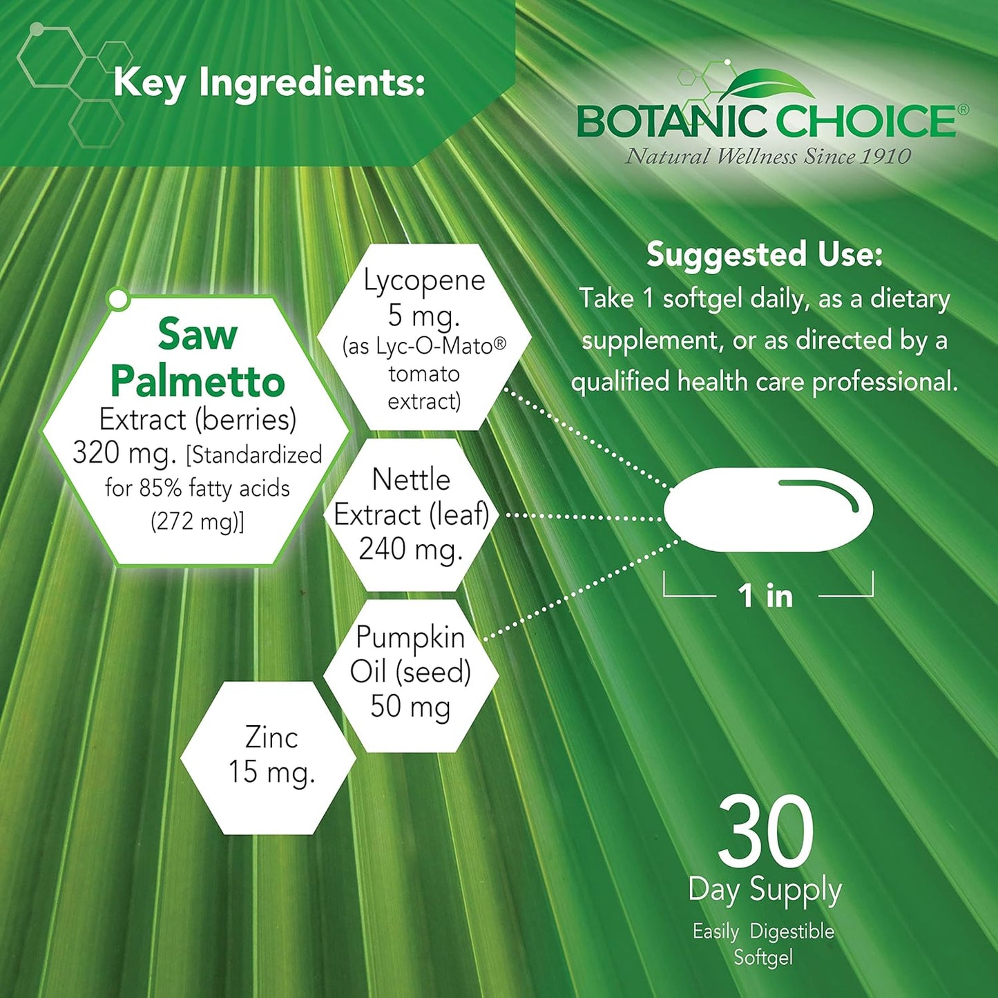 Botanic Choice Mega Fruits and Veggies Blend + Prostate 9 Complex Bundle - Energy Balance & Superfood + Urinary Flow & Cellular Health Support