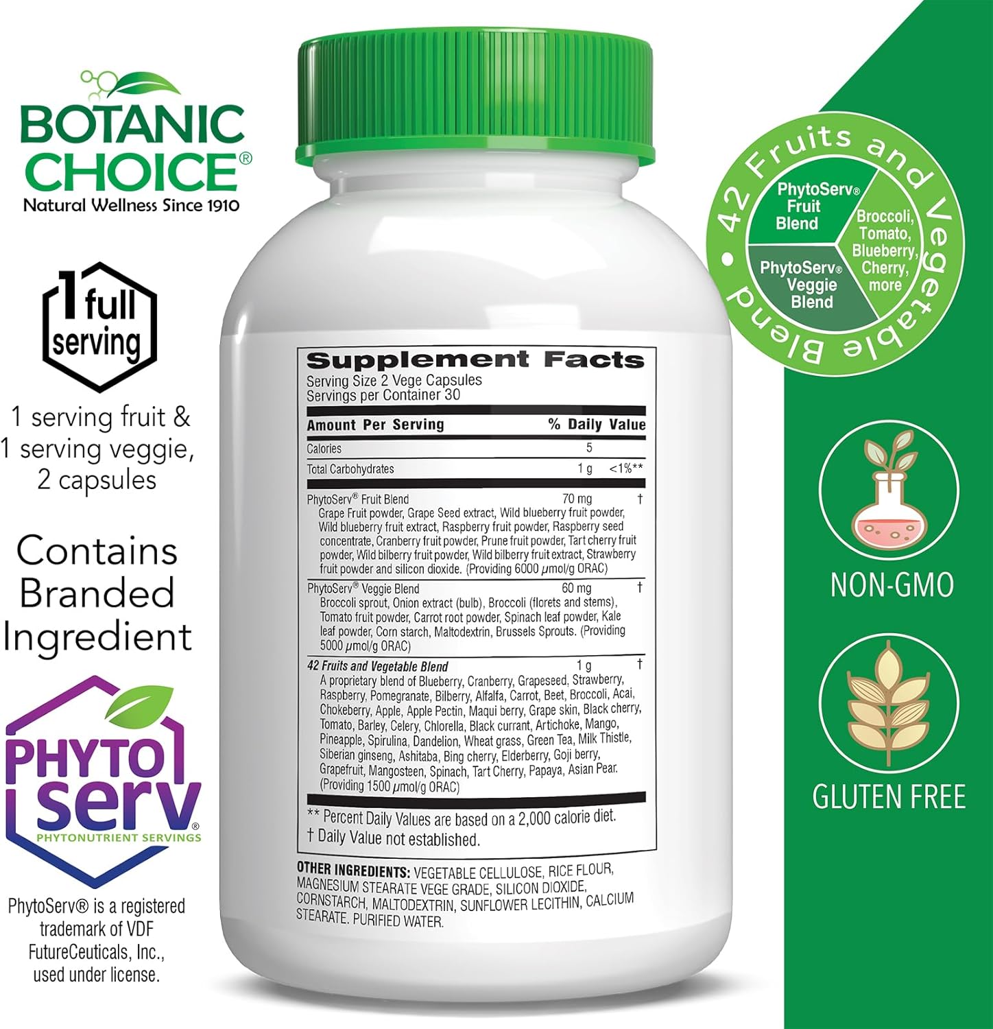 Botanic Choice Mega Fruits and Veggies Blend with 42 Elderberry, Chlorella, and Kale - Energy Balance Superfood for Adults - 2 Pack