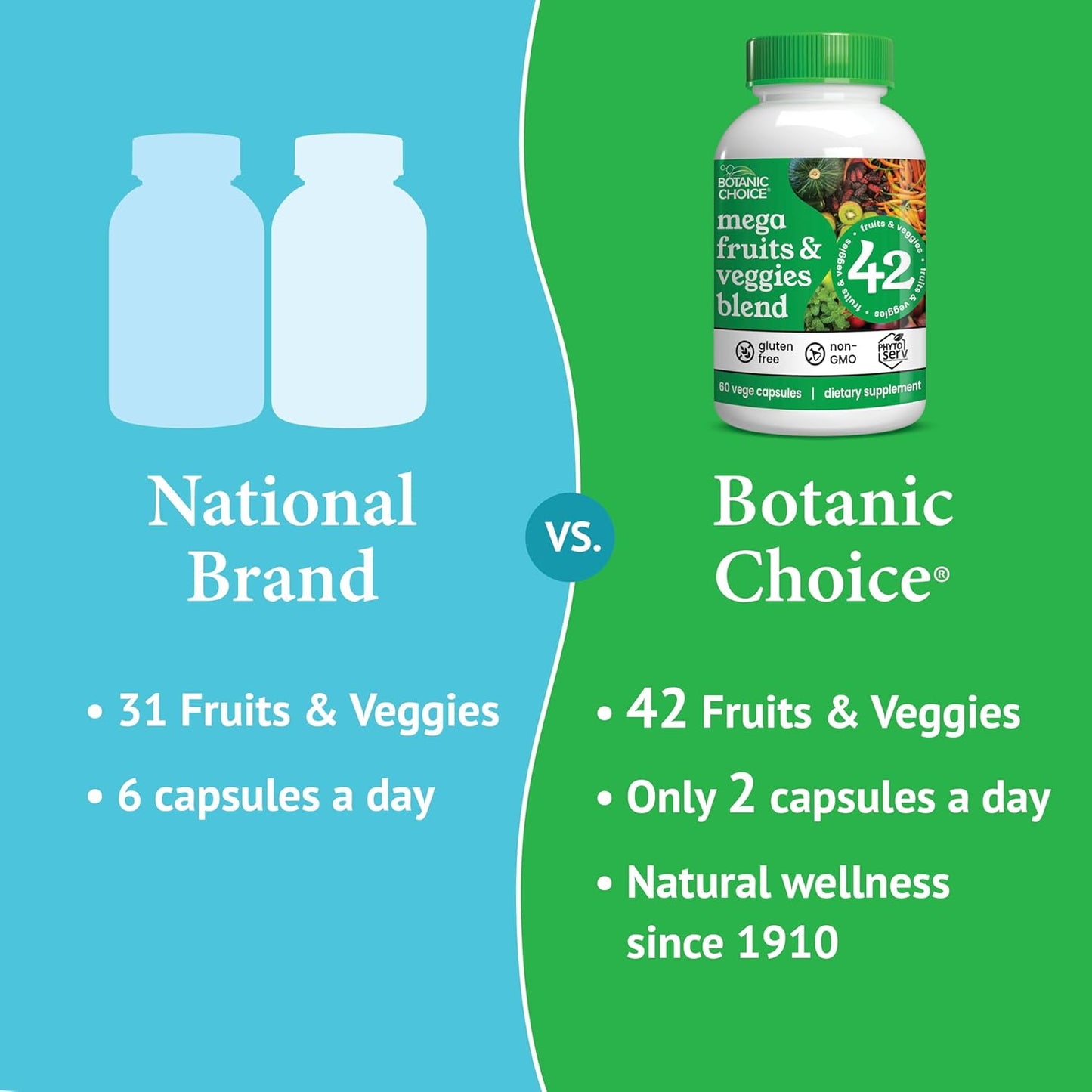 Botanic Choice Mega Fruits and Veggies Blend with 42 Elderberry, Chlorella, and Kale - Energy Balance Superfood for Adults - 2 Pack