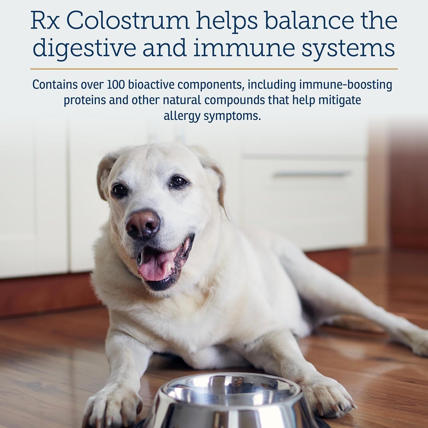 Bovine Colostrum Powder for Cats & Dogs - Immune & Digestive Support Supplement - 3.52 oz (100g)