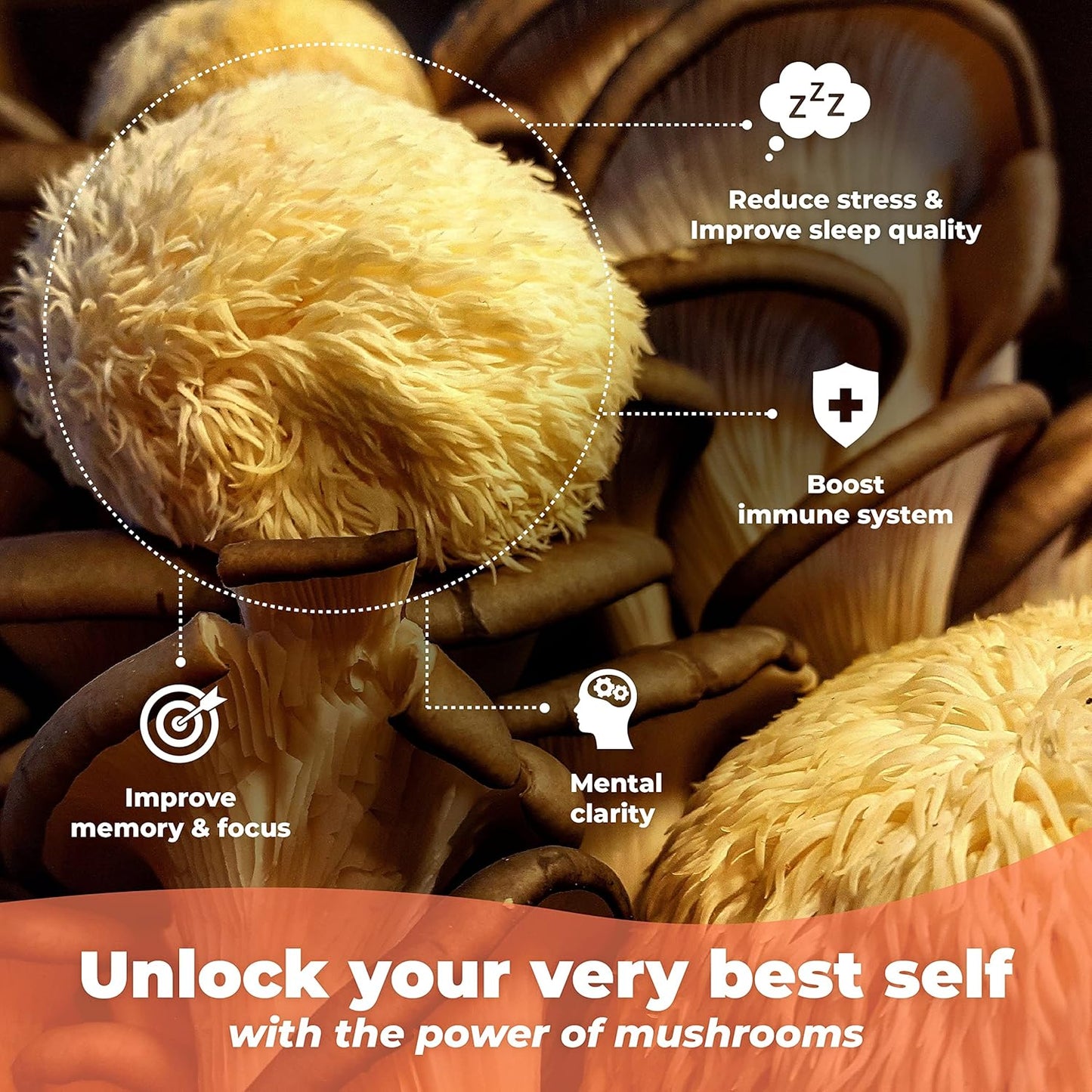 Brain Health Supplement with Lions Mane, Shiitake, Chaga, Reishi Mushrooms - Boost Memory and Focus with Bacopa Monnieri and Gingko Biloba - 60 Capsules