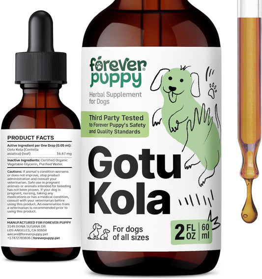 Brain Health Support Liquid Supplement for Dogs - Centella Asiatica & Gotu Kola Extract - 2 oz - All Breeds & Sizes