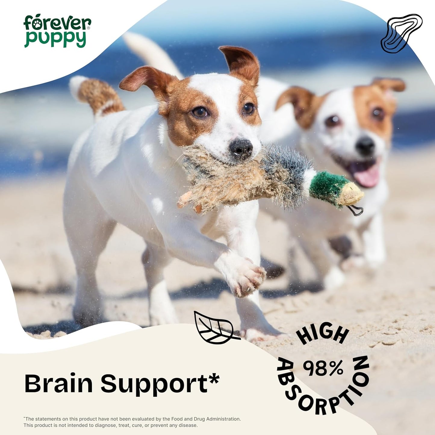 Brain Health Support Liquid Supplement for Dogs - Centella Asiatica & Gotu Kola Extract - 2 oz - All Breeds & Sizes