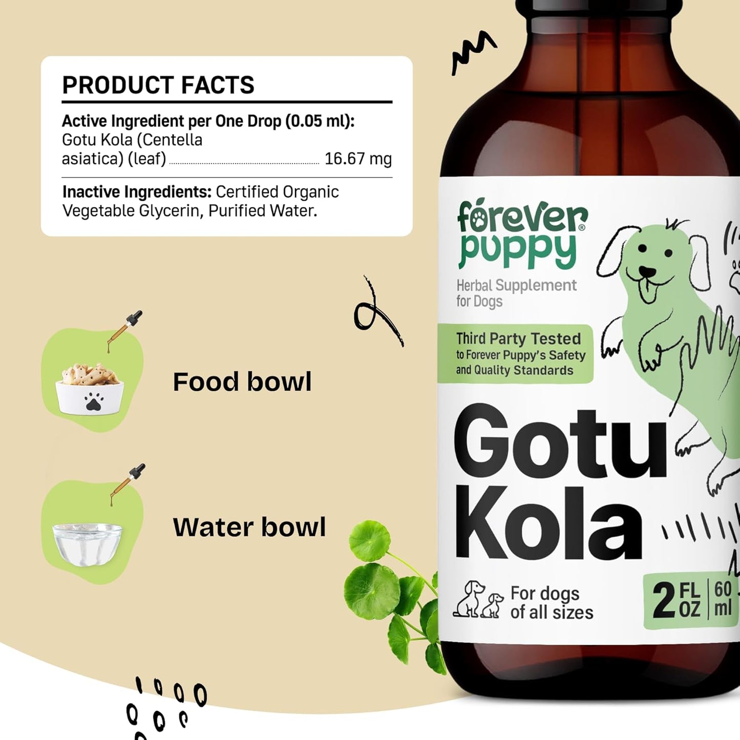 Brain Health Support Liquid Supplement for Dogs - Centella Asiatica & Gotu Kola Extract - 2 oz - All Breeds & Sizes
