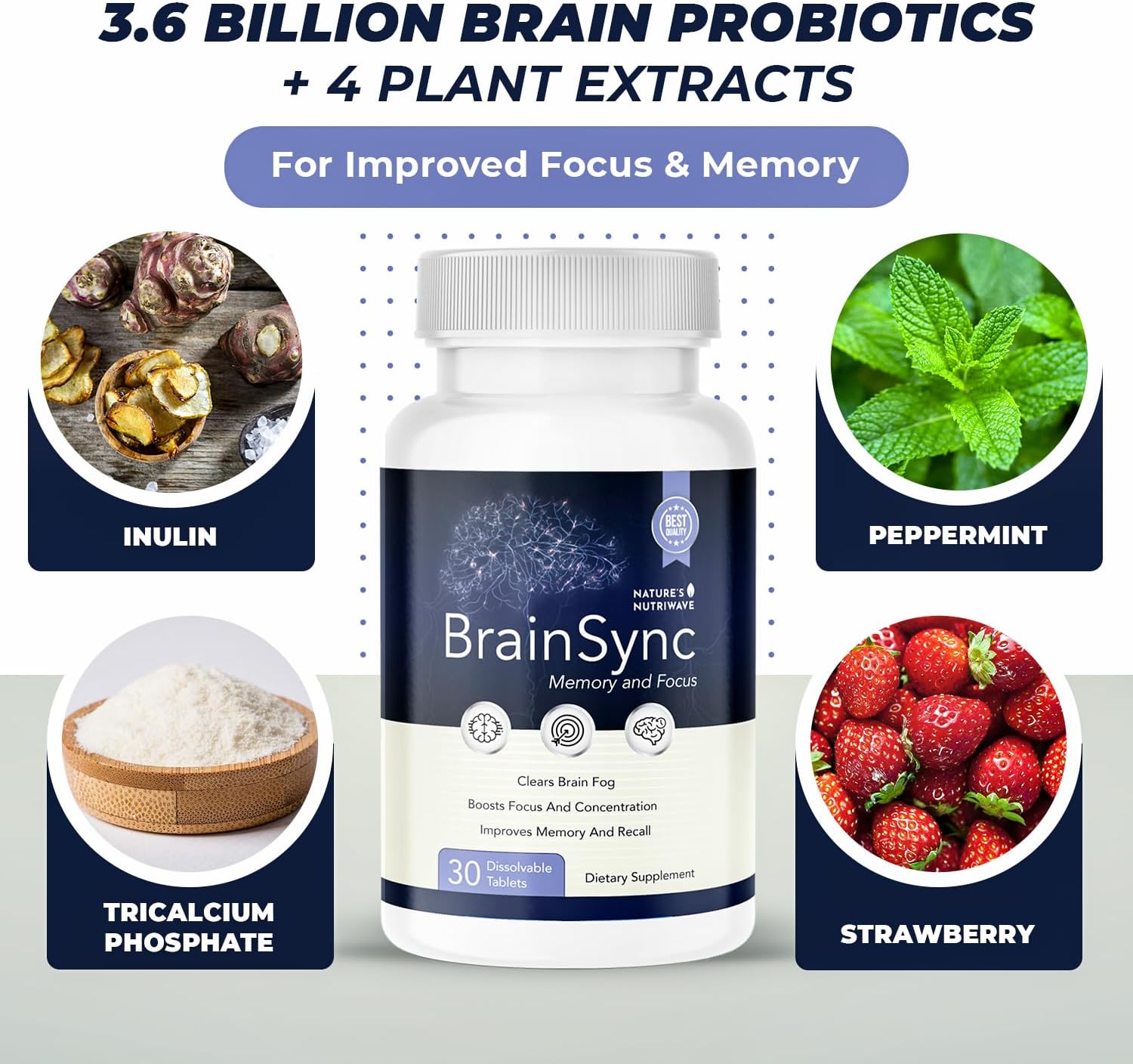 Brain Probiotics with 3.6 Billion CFU for Memory, Focus & Cognitive Health - 30 Tablets