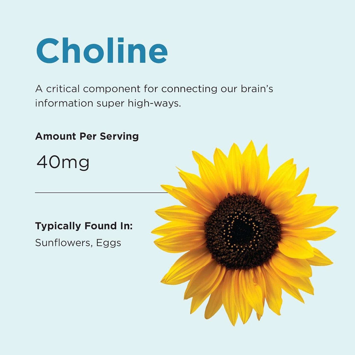 Brainiac Daily BrainPack Gummies - Omega 3 DHA EPA DPA, Choline, B6 & B12, Lutein - 90 ct, Citrus Berry Flavor