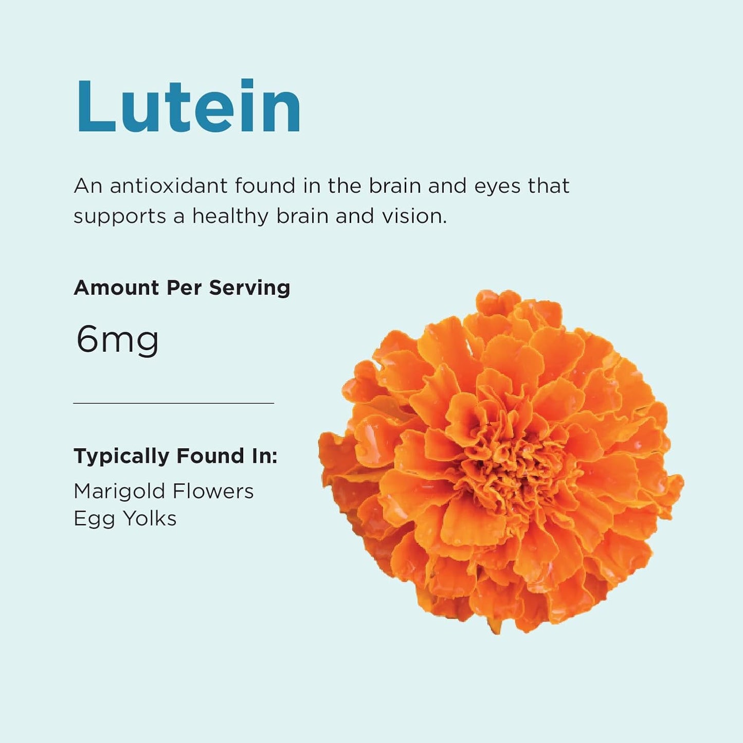 Brainiac Daily BrainPack Gummies - Omega 3 DHA EPA DPA, Choline, B6 & B12, Lutein - 90 ct, Citrus Berry Flavor