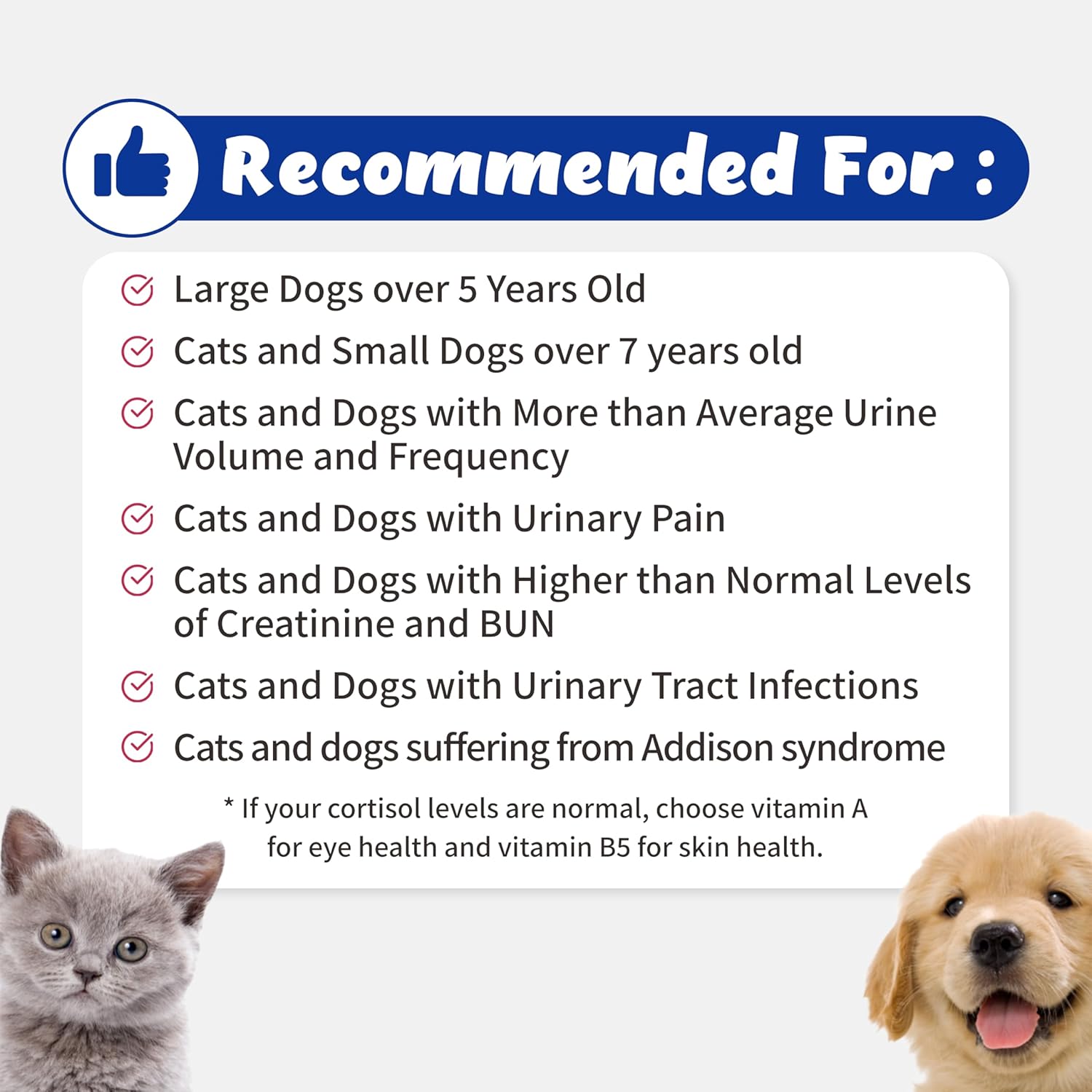 Branvine Urinary Support Supplement for Dogs and Cats - Promotes Kidney and Bladder Health with Vegan Bacon Flavor - 117g