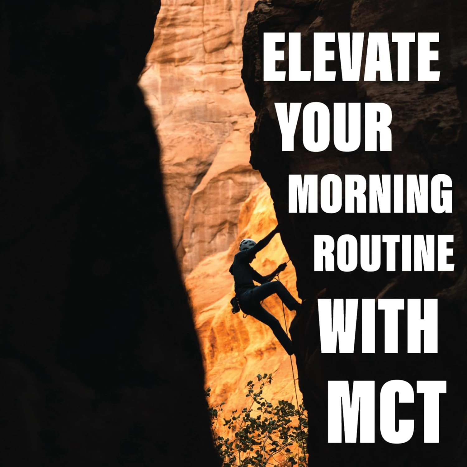 BUBS Naturals MCT Oil Powder: Keto Vegan & Paleo Friendly Coconut Fats for Energy - Dairy-Free Coffee & Shake Boost