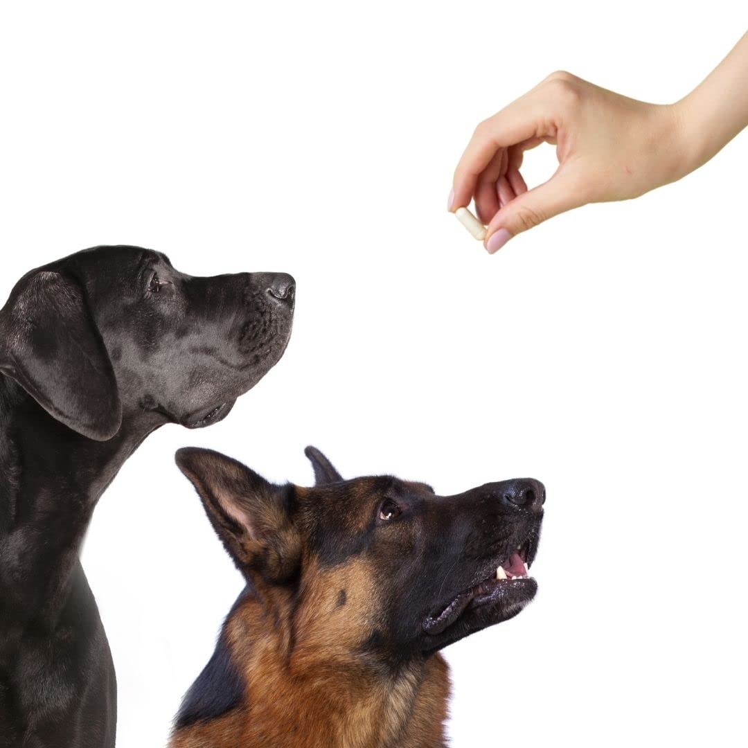 Bulk 000 Gelatin Capsules - 10000 Count Empty Capsules for Filling Machine - Halal Beef Gel Caps - Size 000 Tablet Presses