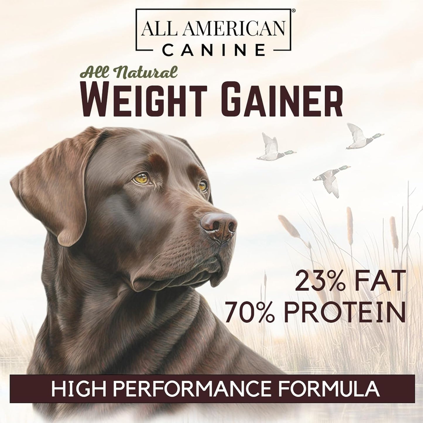 Bulk Dog Weight Gainer Supplement for Rapid Weight Gain and Recovery - High Calorie Protein Powder with Appetite Stimulant - 230 Servings