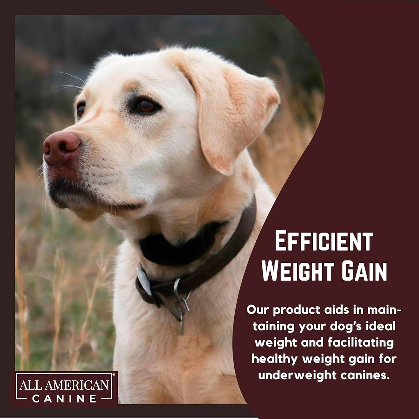 Bulk Dog Weight Gainer Supplement for Rapid Weight Gain and Recovery - High Calorie Protein Powder with Appetite Stimulant - 230 Servings