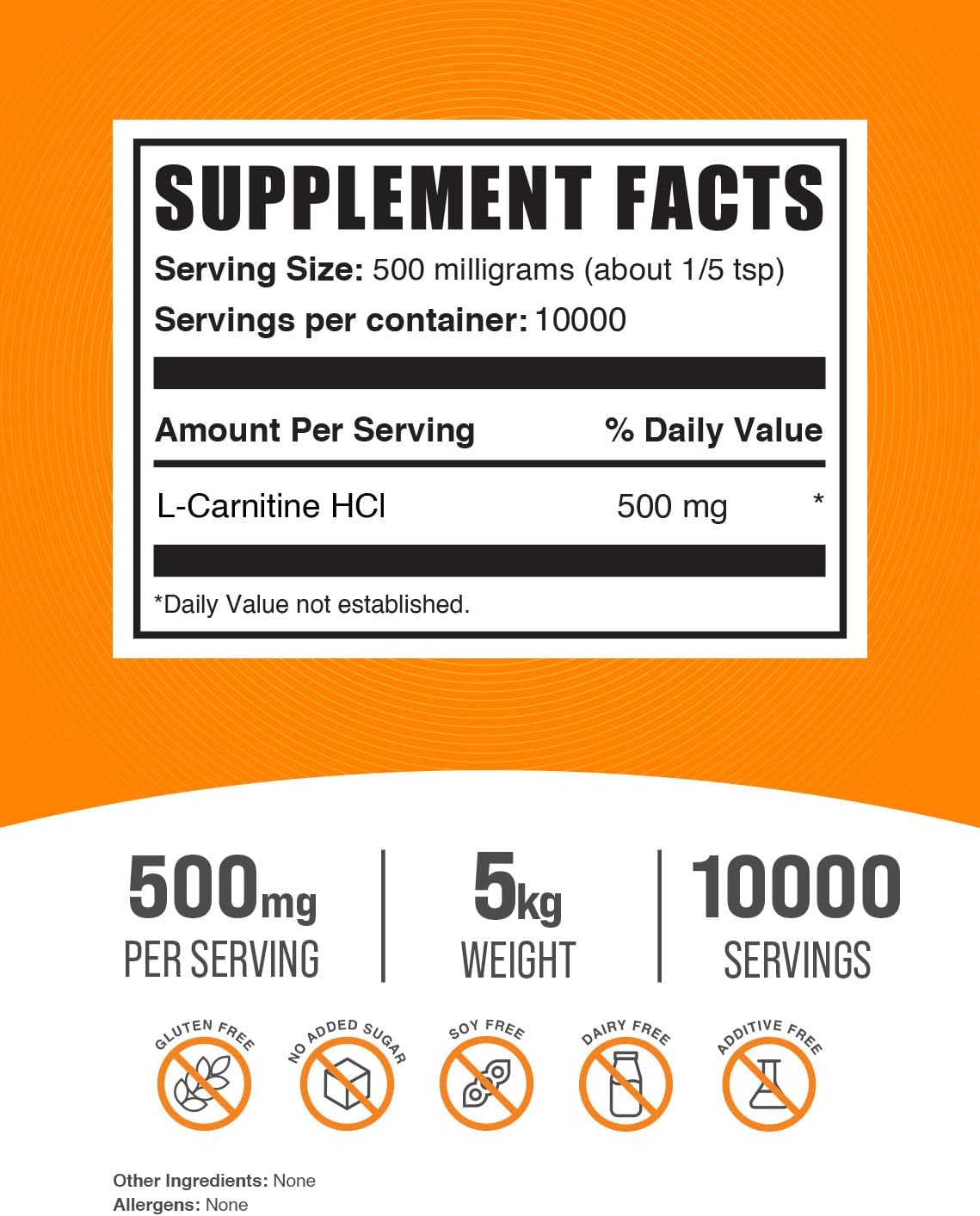 BulkSupplements L-Carnitine HCl Powder - 500mg Carnitine Supplement, Unflavored & Gluten Free, 5kg (11 lbs) - Pack of 5