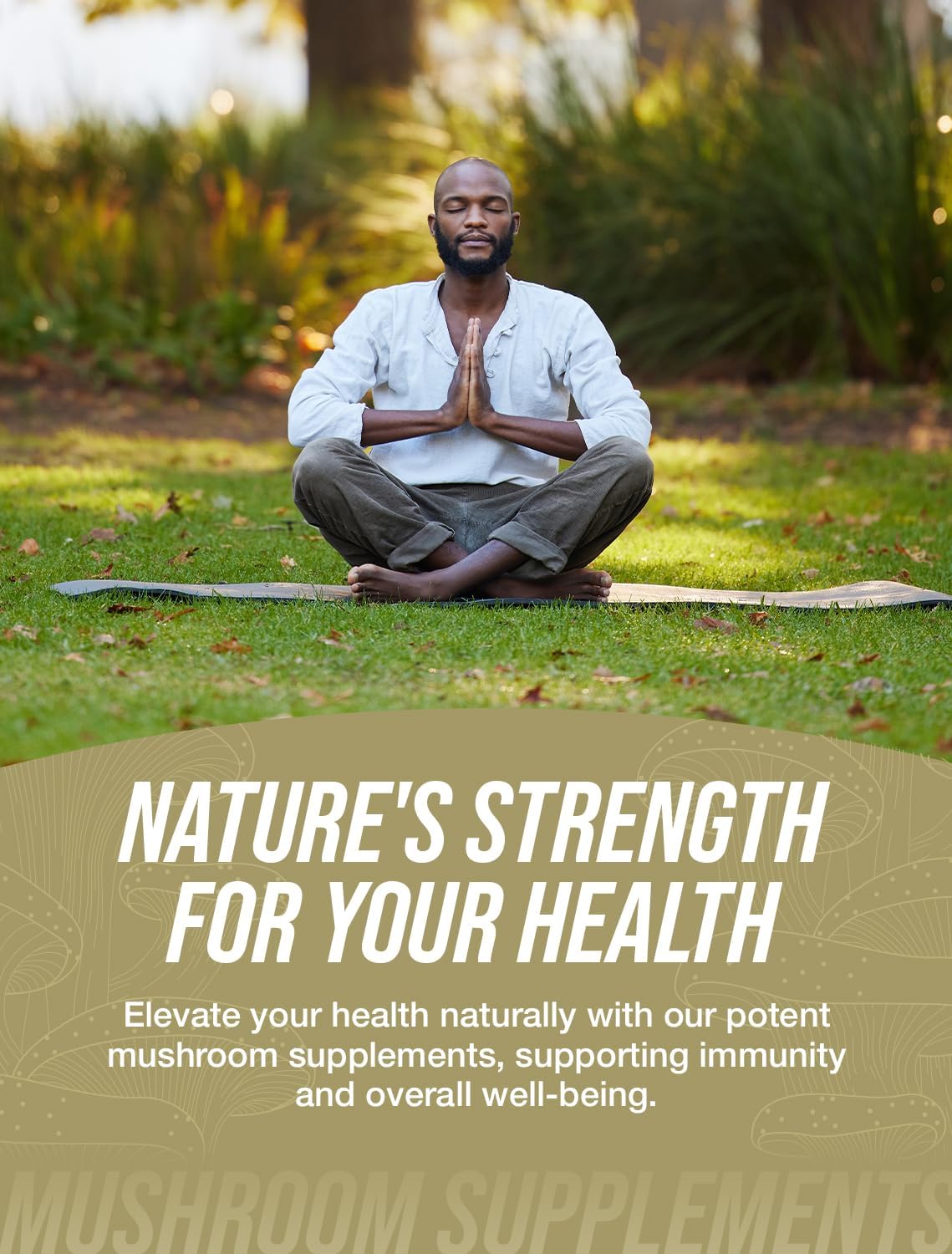 BulkSupplements.com White Button Mushroom Extract Powder - Agaricus Mushroom Supplement, Gluten Free, 500mg per Serving, 100g (3.5 oz) Pack