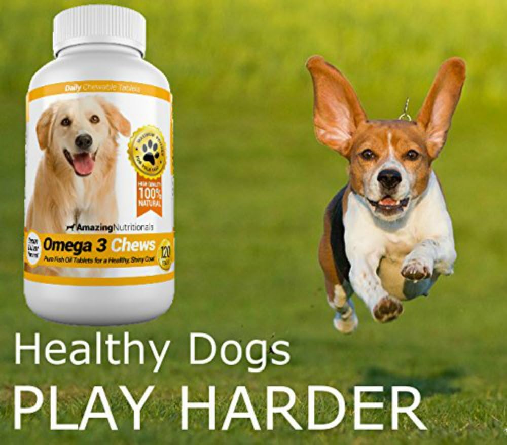 Bundle: Amazing Nutritionals Turmeric & Omega 3 Fish Oil for Dogs - Support Joint Health & Immune System, Promote Healthy Skin & Coat