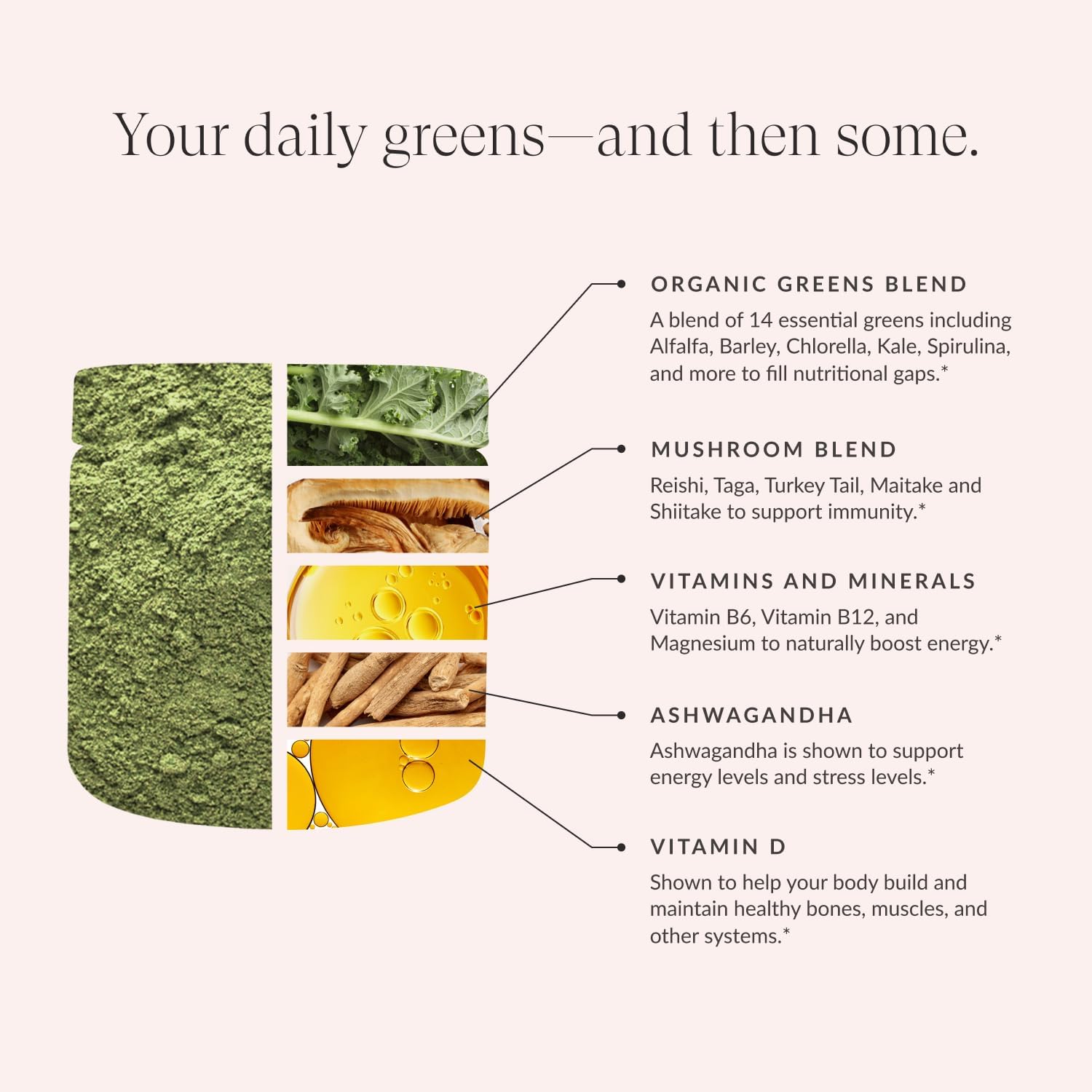 Bundle: Beam Greens and Creatine Powder - 30 Servings of each