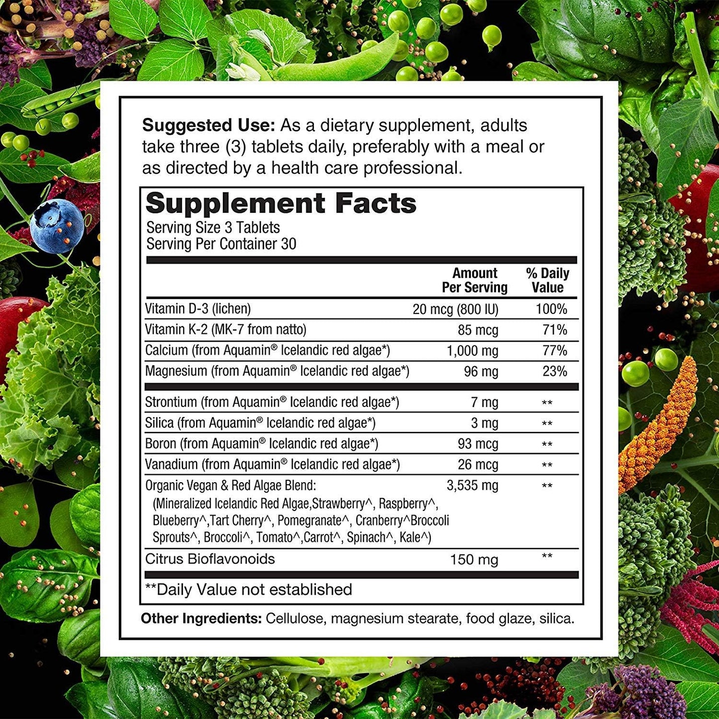 Bundle Deal: PlantFusion Vegan Protein Powder with BCAAs, Digestive Enzymes, and Calcium - Plant Based Pea Protein Powder