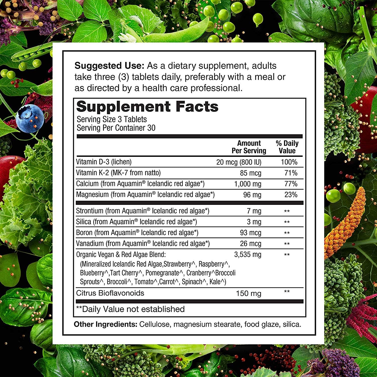 Bundle Deal: PlantFusion Vegan Protein Powder with BCAAs, Digestive Enzymes, and Calcium - Plant Based Pea Protein Powder