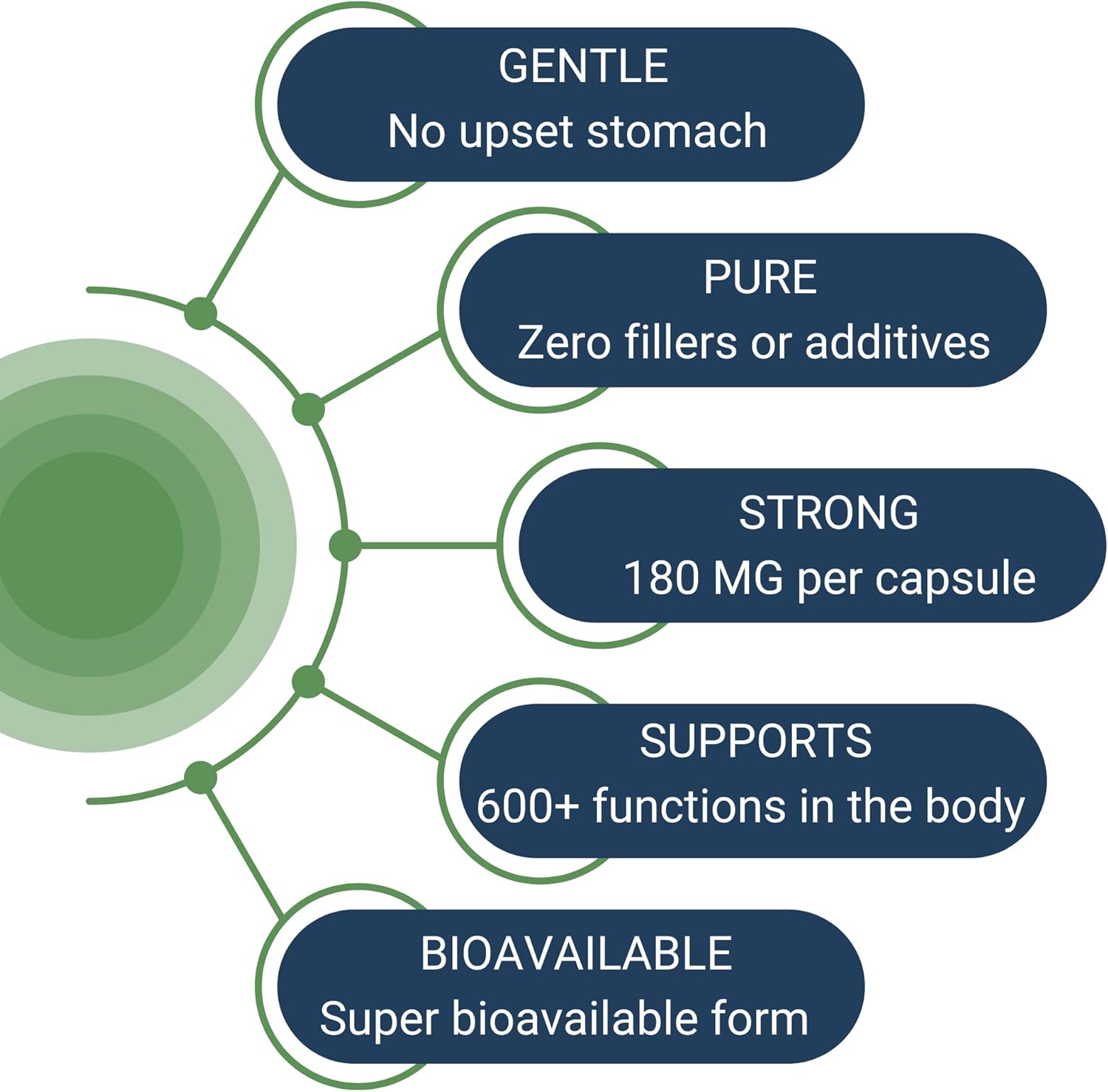 Bundle: HoloZyme Digestive Enzymes & Magnesium-HP | 90 Servings & 60 Servings