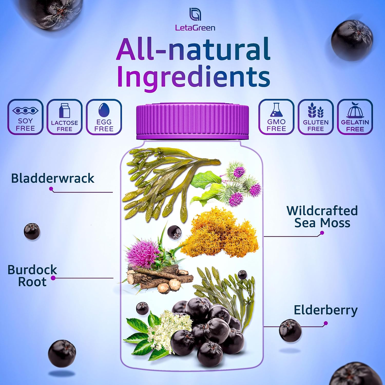 Bundle: LetaGreen Sea Moss Gummies + Capsules - 60 Gummies + 120 Capsules, Immune Support with Vitamins and Minerals