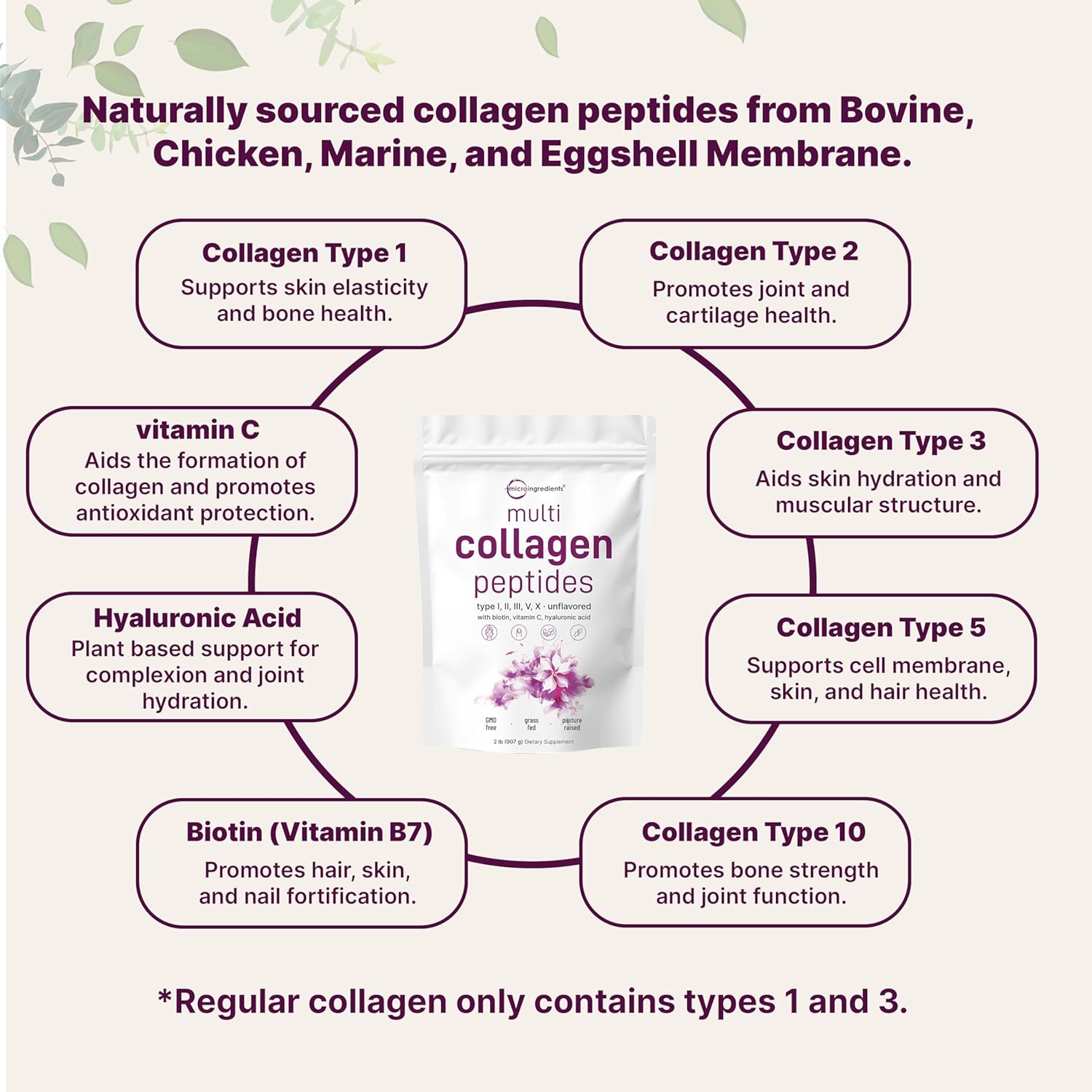 Bundle: Micro Ingredients Collagen Protein Powder & Omega-3 Fish Oil Softgels - Grass-Fed Collagen Peptides, Wild-Caught Fish, Lemon Flavor