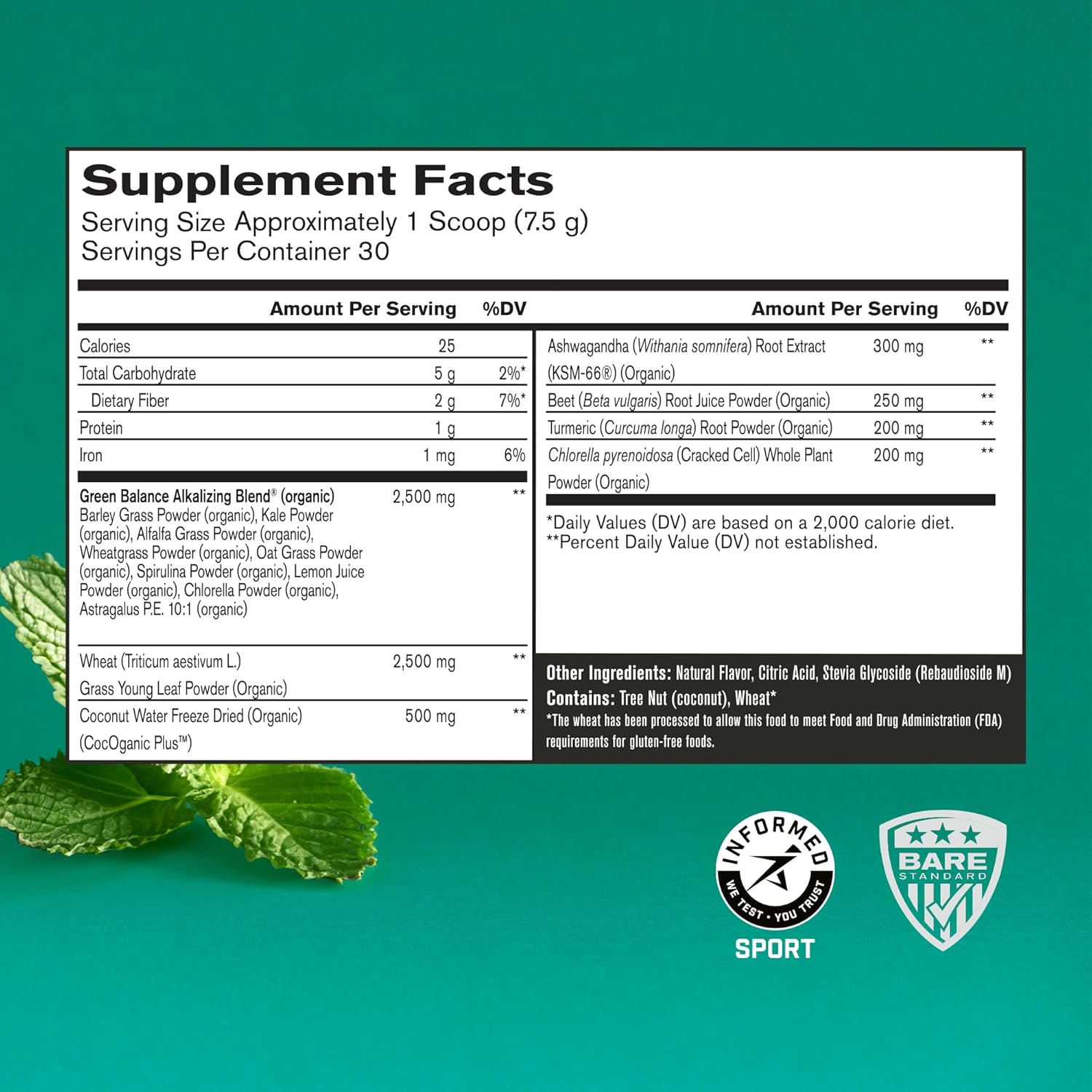 Bundle of BARE PERFORMANCE NUTRITION BPN Creatine Monohydrate and Strong Greens for Enhanced Performance and Health