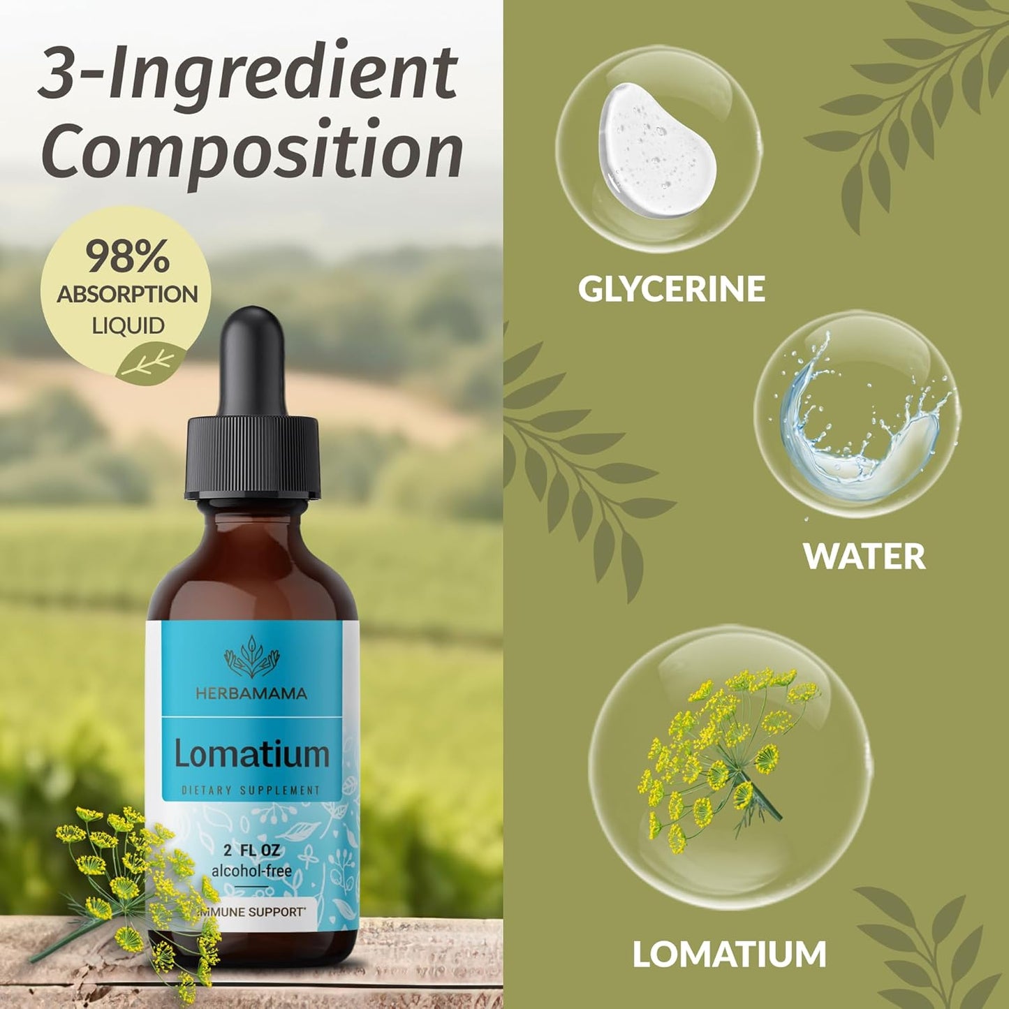 Bundle of HERBAMAMA Herbal Liquid Drops: Lomatium Root Extract and Mullein Leaf Tincture - Vegan, Non-GMO, Alcohol & Sugar-Free - 2 fl oz (2 Pack)