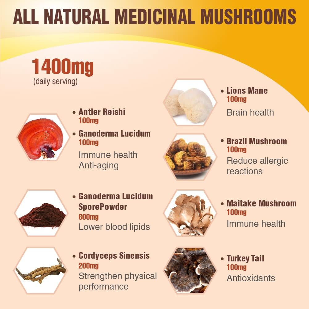 Bundle of Lovita Bee Propolis Capsules and Premium Reishi Mushrooms for Improved Nutrition and Well-Being