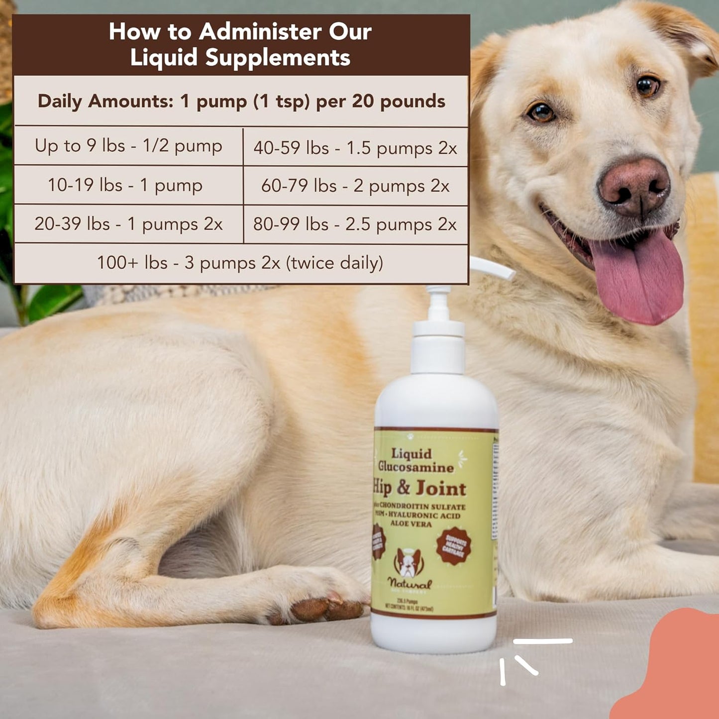 Bundle of Natural Dog Company Wellness Products: Food Toppers, Liquid Supplements, Skin & Coat Oil, Liquid Glucosamine, Calming Oil