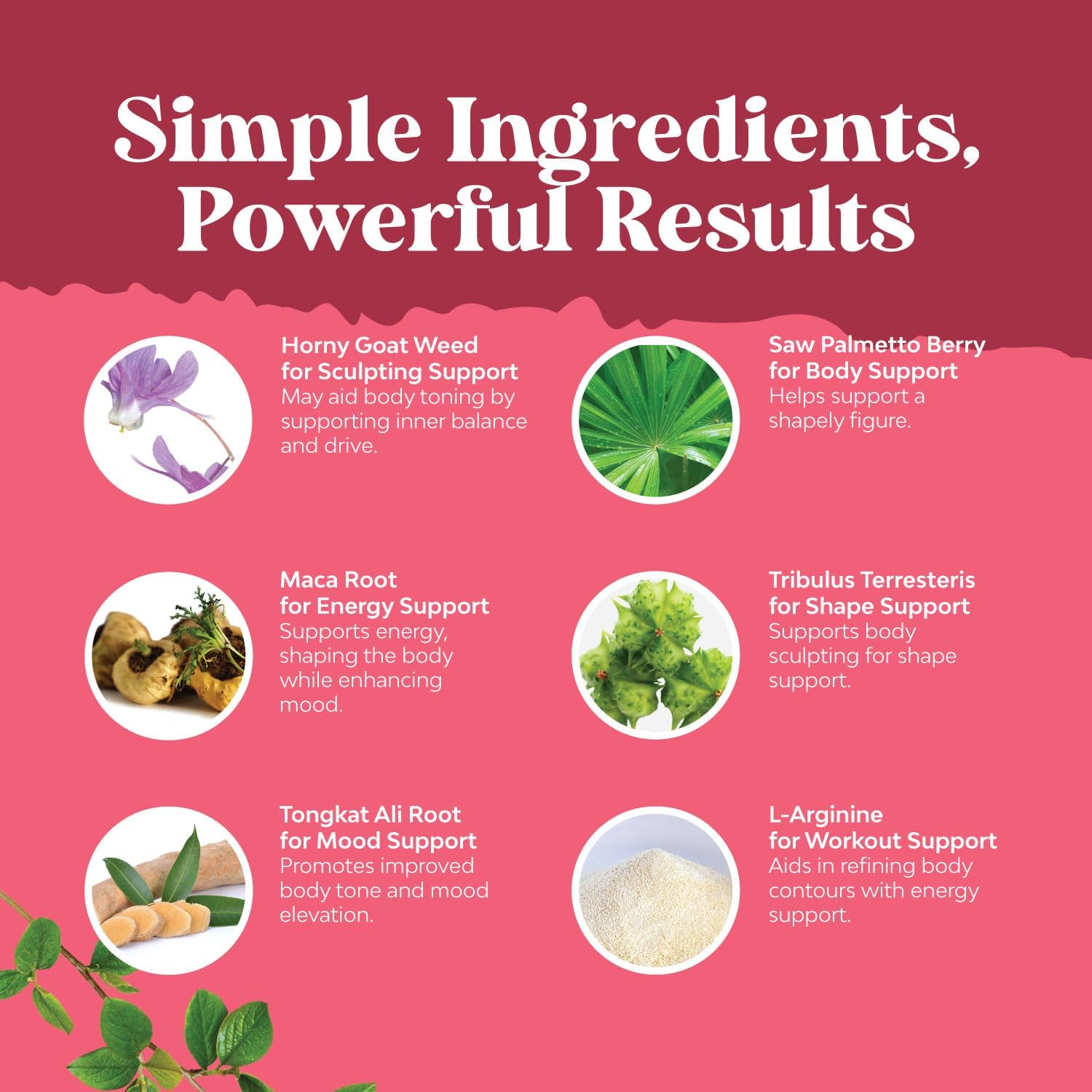 Bundle of Natures Craft G Curve Horny Goat Weed & Extra Strength Saw Palmetto for Women - Boost Energy, Mood, Performance, & Hair Health