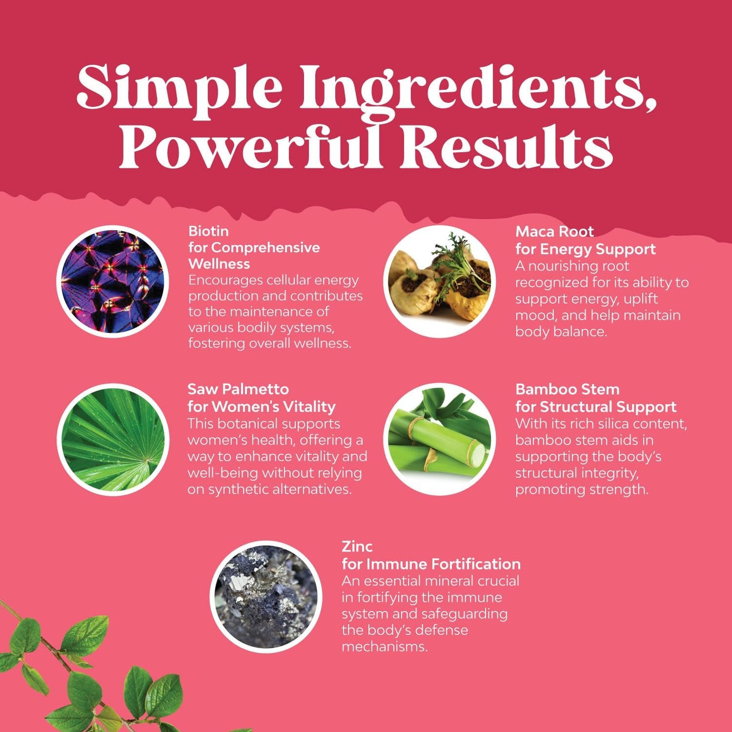 Bundle of Natures Craft G Curve Horny Goat Weed & Extra Strength Saw Palmetto for Women - Boost Energy, Mood, Performance, & Hair Health