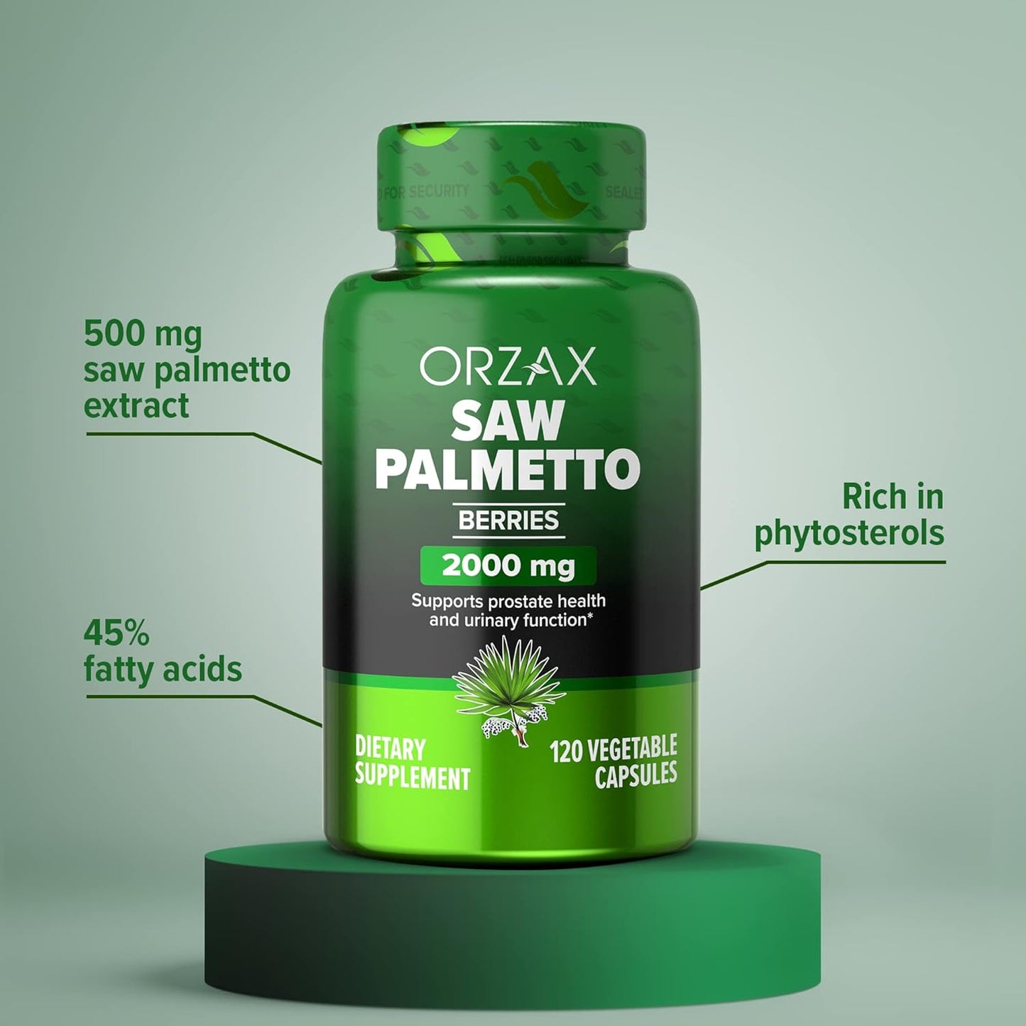 Bundle of ORZAX Ginseng Capsules with 30% Ginsenosides and Saw Palmetto Capsules 2000 mg - 120 Vegetable Capsules