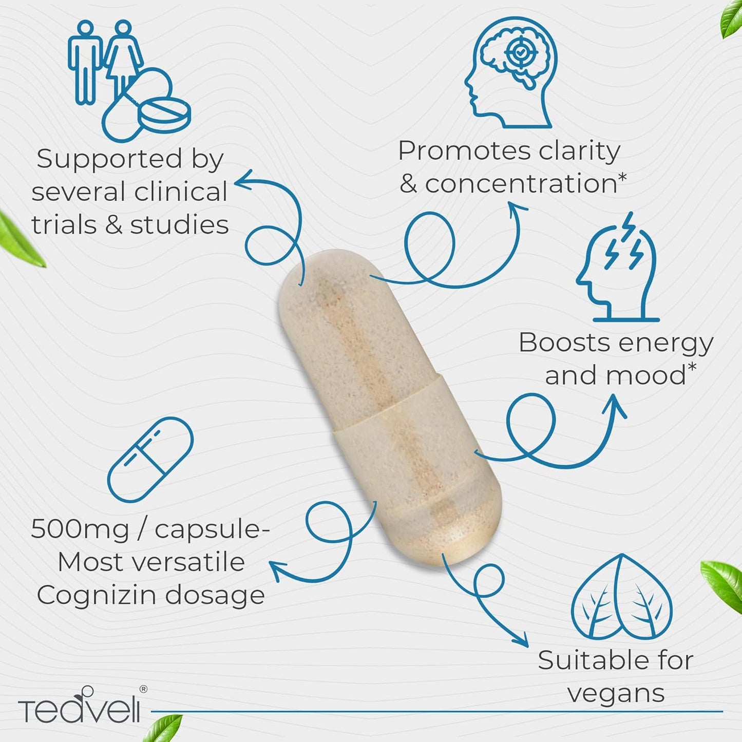 Bundle of Teaveli Pharma GABA and Citicoline for Cognitive Support