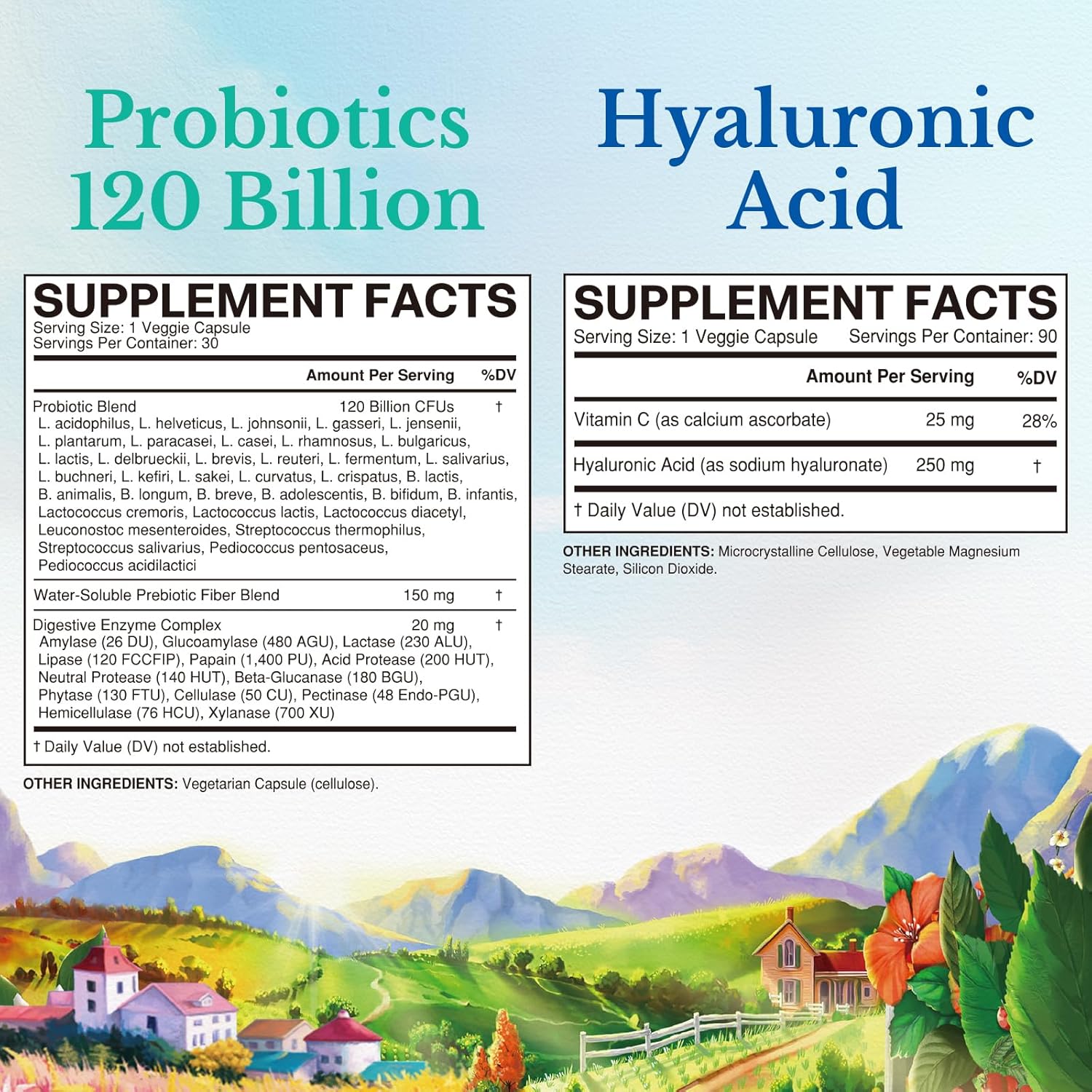 Bundle of Vitalitown Probiotics 120 Billion CFUs & Hyaluronic Acid Capsules - Gut-Skin Health - Pack of 2 (30 + 90)