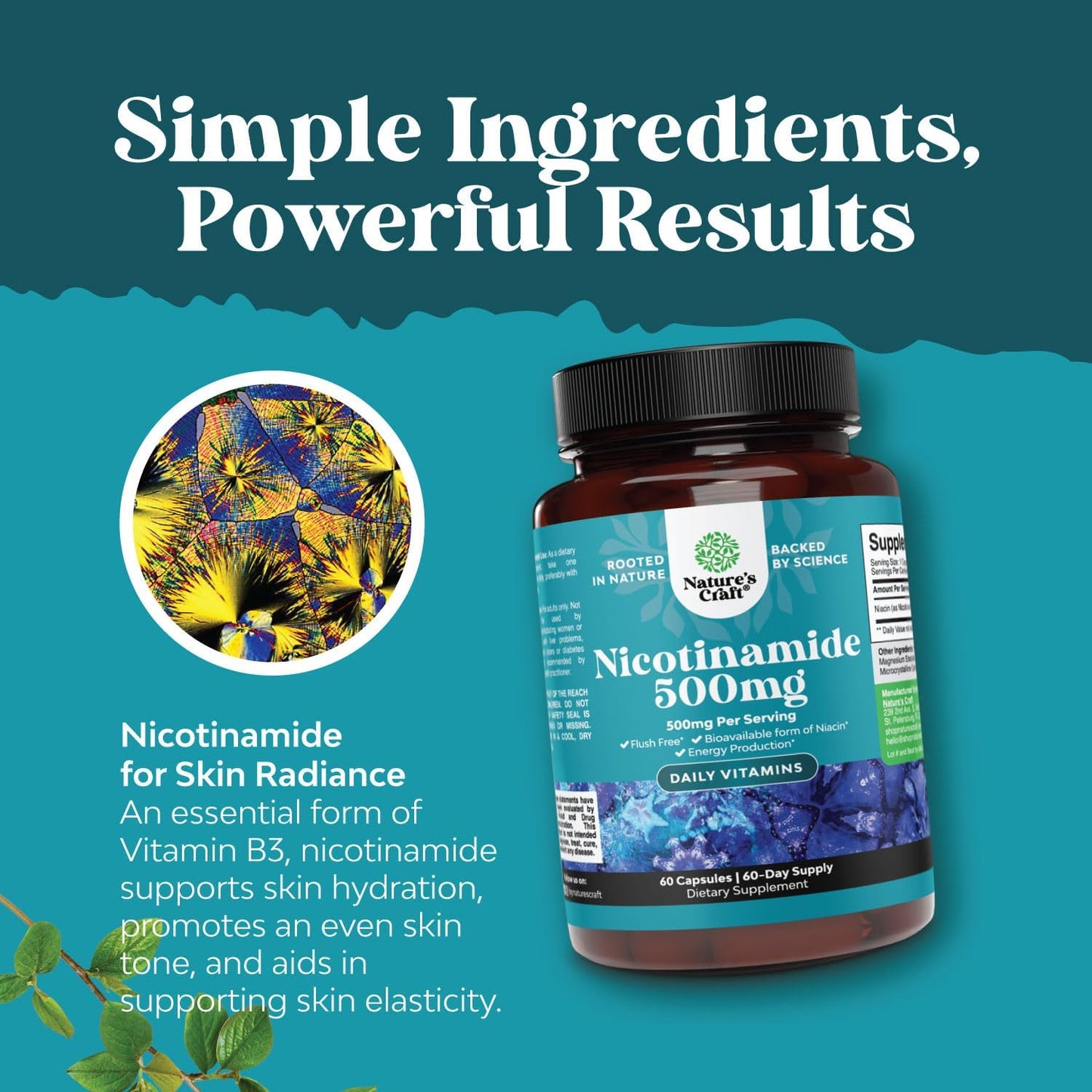 Bundle of Youthful Trans Resveratrol and Vitamin B3 Nicotinamide Capsules for Brain and Immune Support