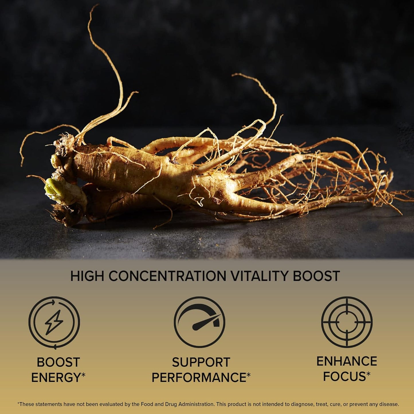 Bundle: ORZAX Ginseng Capsules (30% Ginsenosides, 120 Capsules) + Elderberry Capsules (2000mg, 60 Capsules)