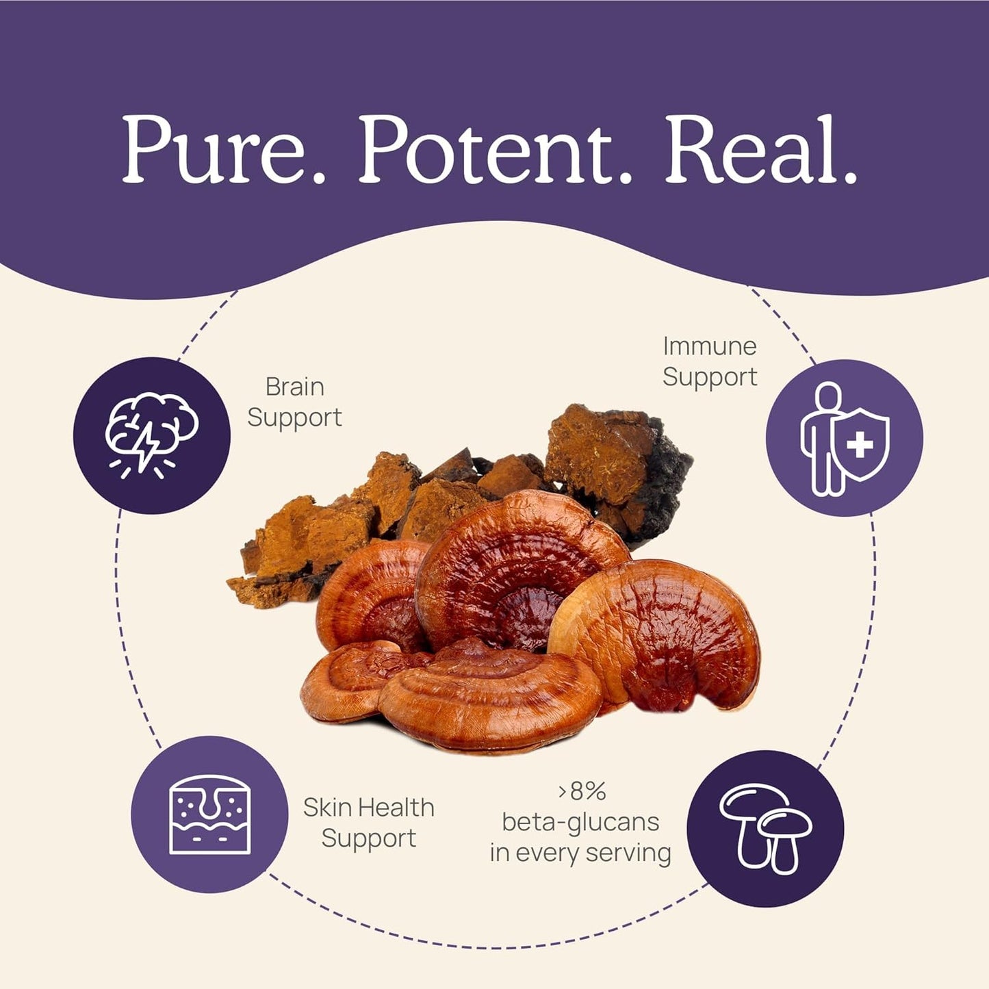 Bundle: Real Mushrooms Vitamin D2, Chaga, Reishi (120ct) & Lion's Mane (300ct) - Immunity & Cognitive Support with Chelated Zinc - Vegan, Gluten Free, Non-GMO