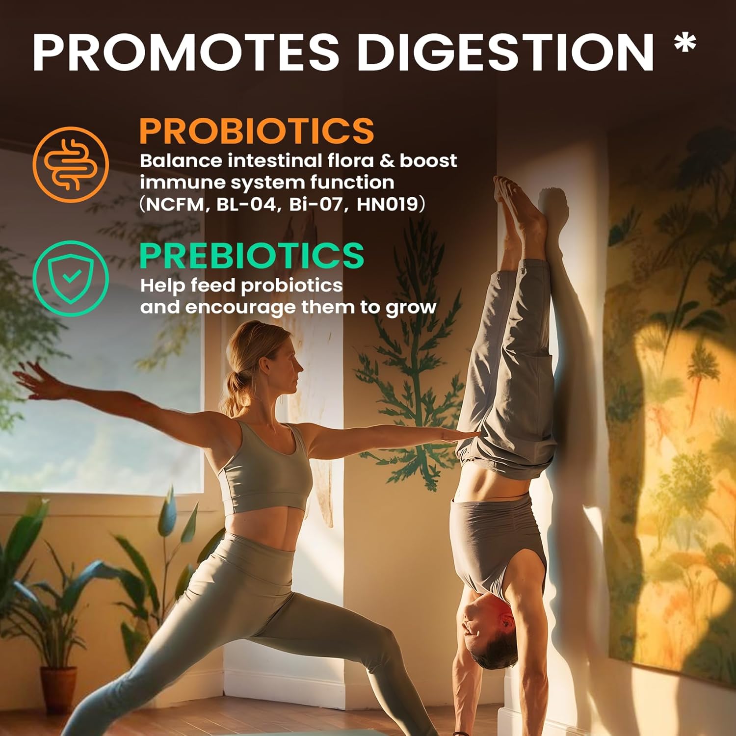 Bundle: Venture Pal Mushroom Coffee & Electrolyte Powder - 12 in 1 with Ashwagandha, Sugar-Free Packets for Focus, Immunity, Hydration, Recovery - 40 Servings