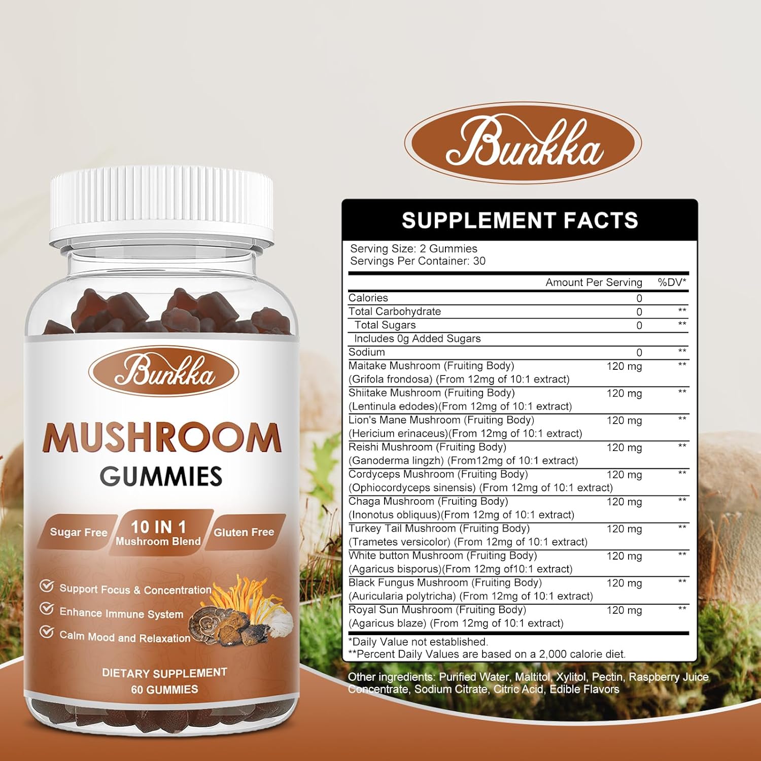 Bunkka Balance Mushroom Gummies - Immune Support & Energy Supplement for Men & Women - 10 Mushroom Blend with Lions Mane, Reishi, Cordyceps, Chaga - 60 Gummies, 1200mg