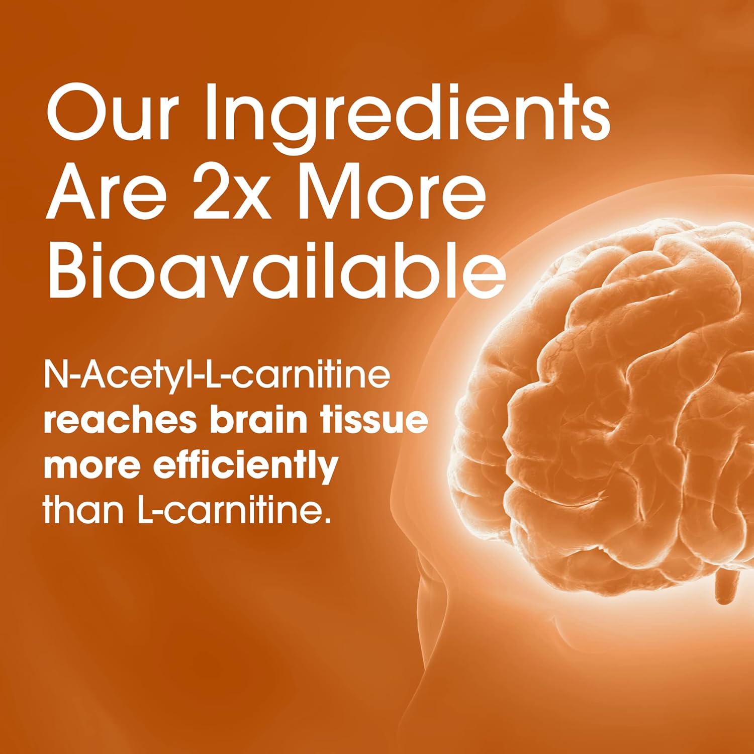 Caffeine-Free Brain Support Supplement with St. John's Wort and Ginkgo Biloba - Nootropic Capsules for Cognitive Health - BoostGo Australia