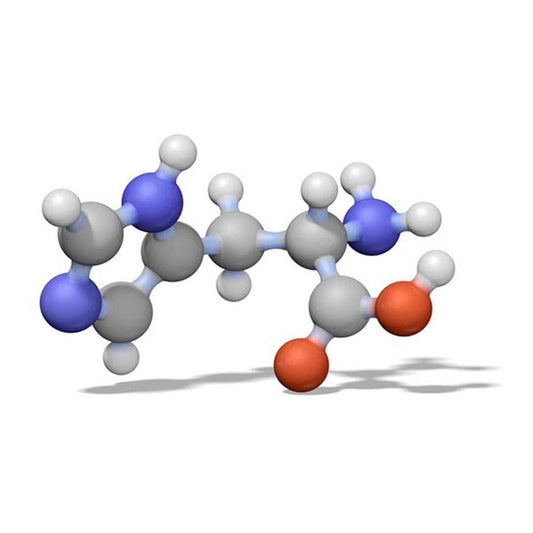 Calbiochem Riboflavin Vitamin B2 Powder - 10 g by EMD Millipore