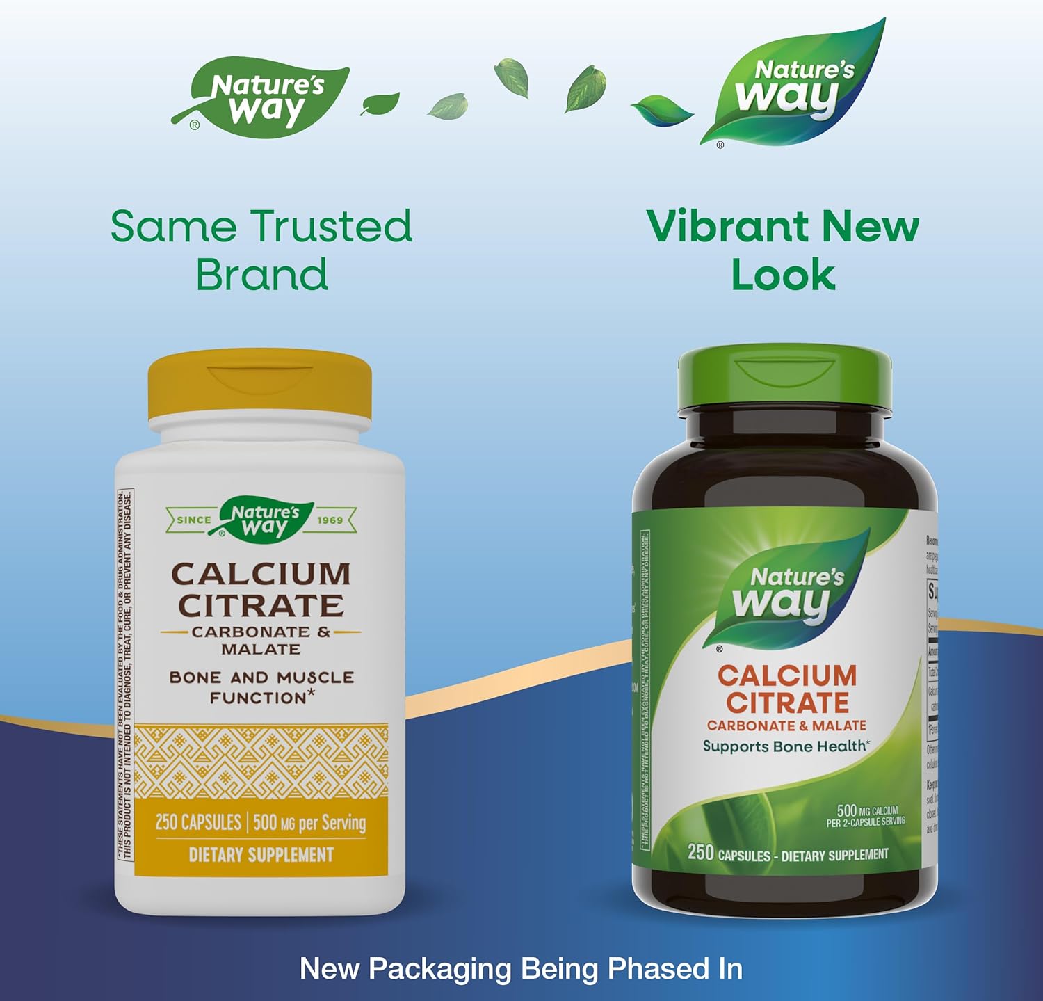 Calcium Citrate Supplement for Bone Health & Muscle Function - 500mg per Serving - Citrate, Carbonate & Malate Blend - Gluten Free - 250 Capsules (2 Pack)