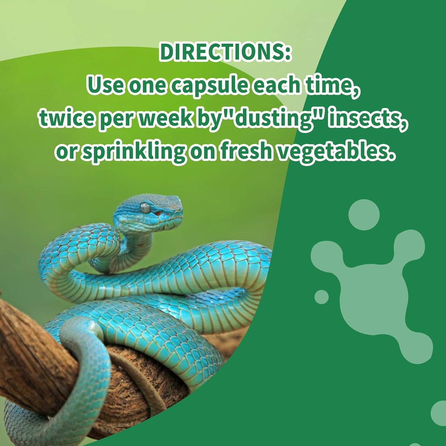 Calcium Reptile Supplement with Vitamin D3 for Bearded Dragons, Turtles & More - NUTRIARISE