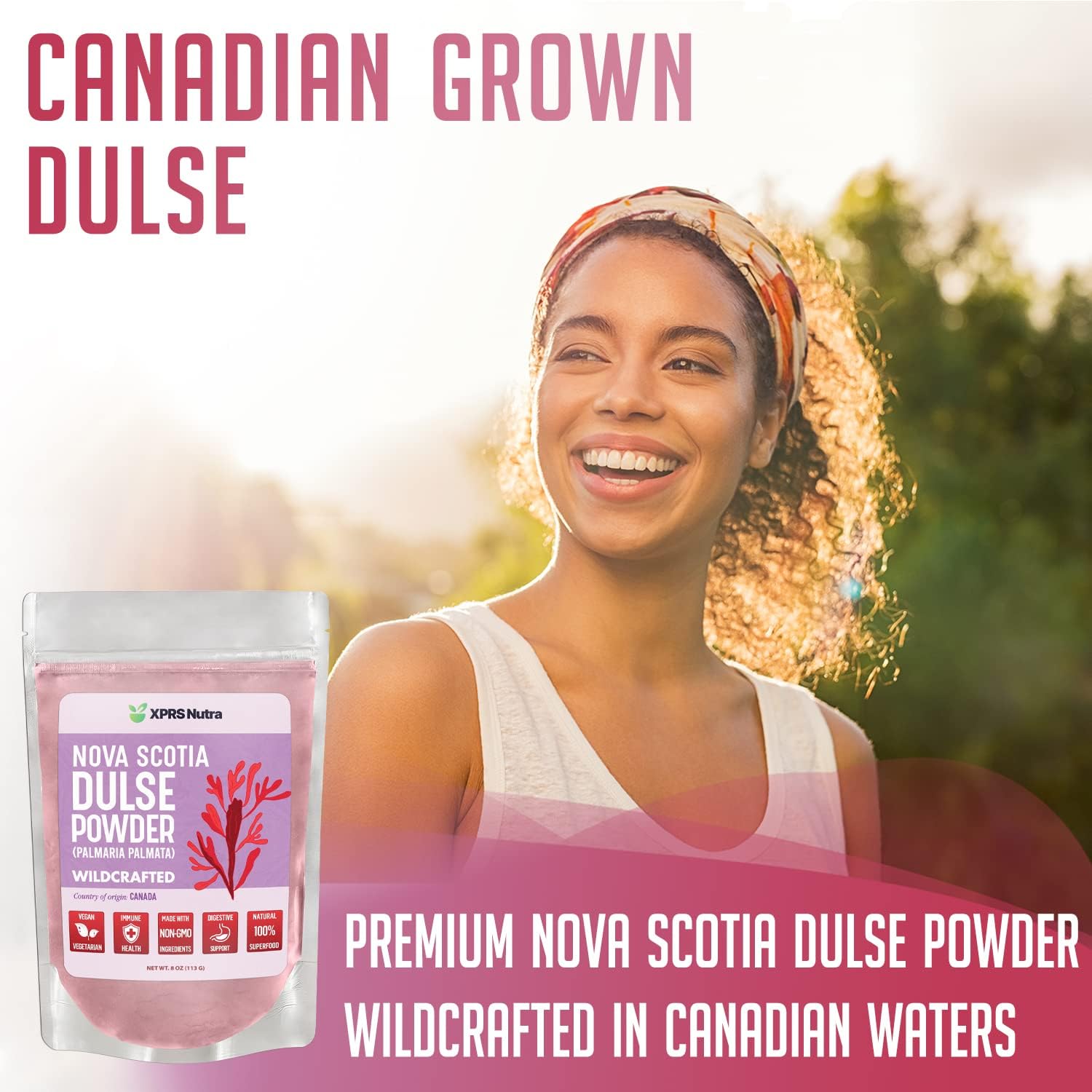 Canadian Wildcrafted Nova Scotia Dulse Powder for Thyroid and Bones - Vegan Friendly Atlantic Dulse Powder (8 oz) - XPRS Nutra Dulse Powder (Palmaria Palmata)