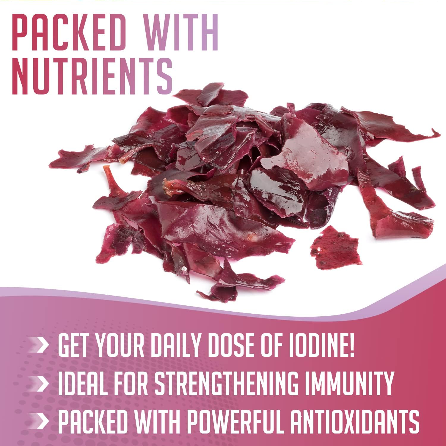 Canadian Wildcrafted Nova Scotia Dulse Powder for Thyroid and Bones - Vegan Friendly Atlantic Dulse Powder (8 oz) - XPRS Nutra Dulse Powder (Palmaria Palmata)